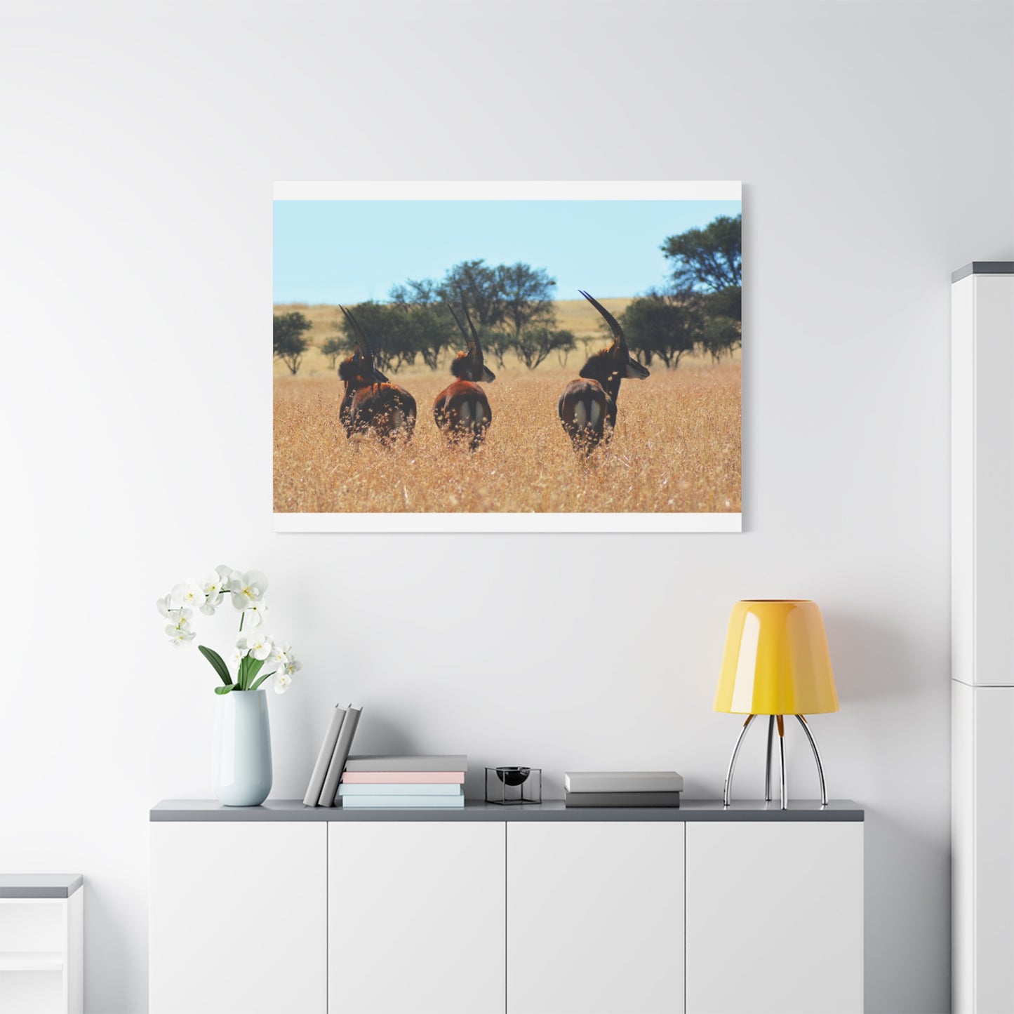 Sable Trio in Africa Canvas Print