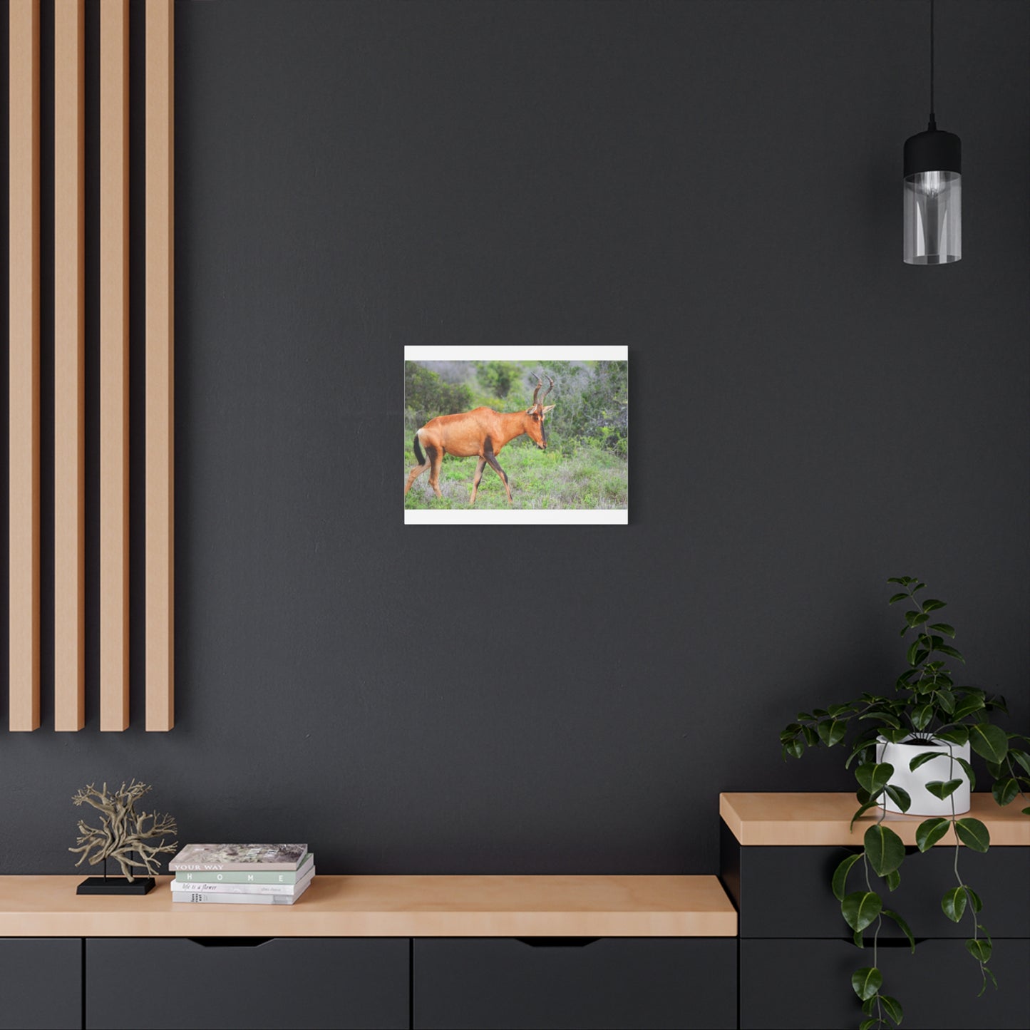 Red Hartebeest - Canvas Print