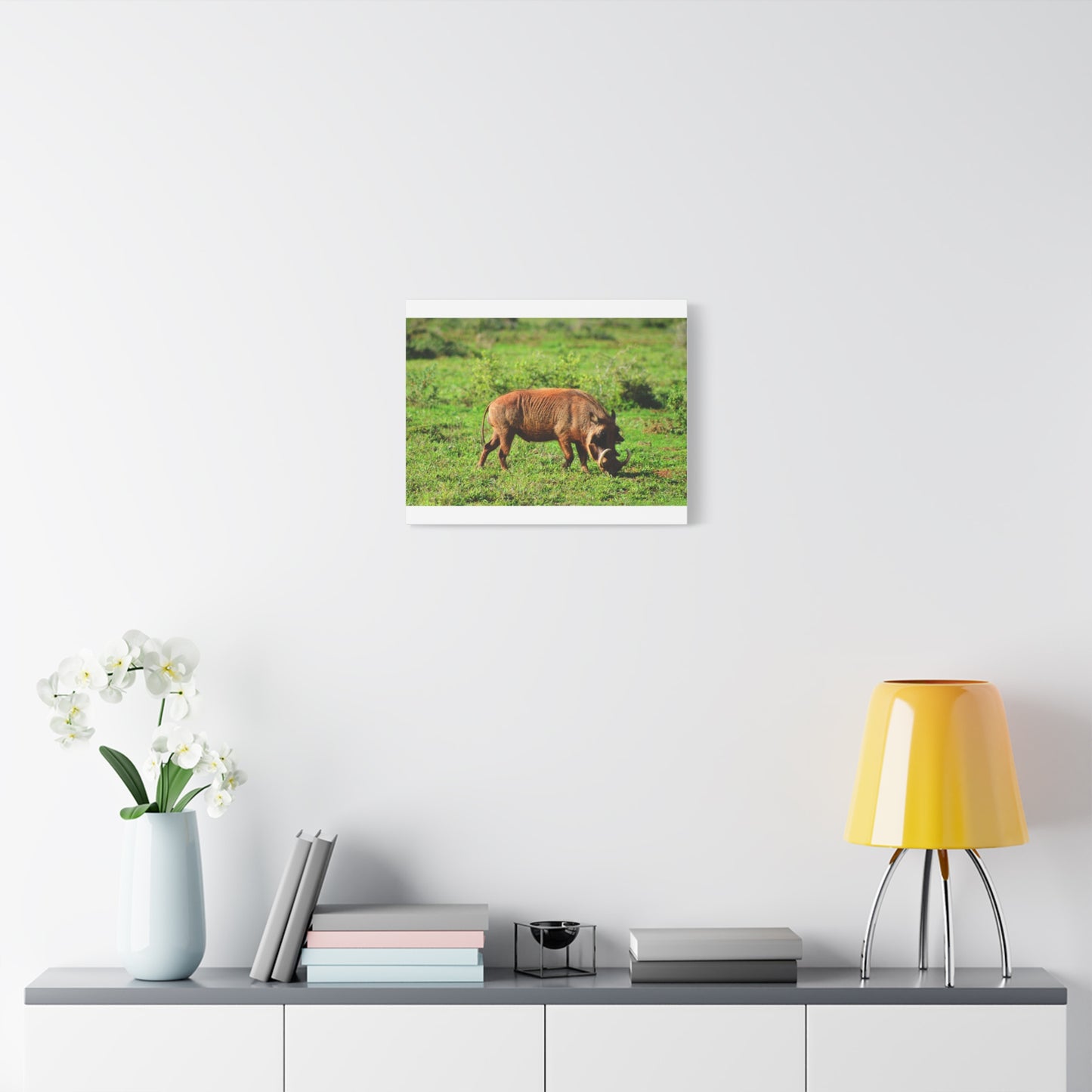African Warthog - Canvas Print