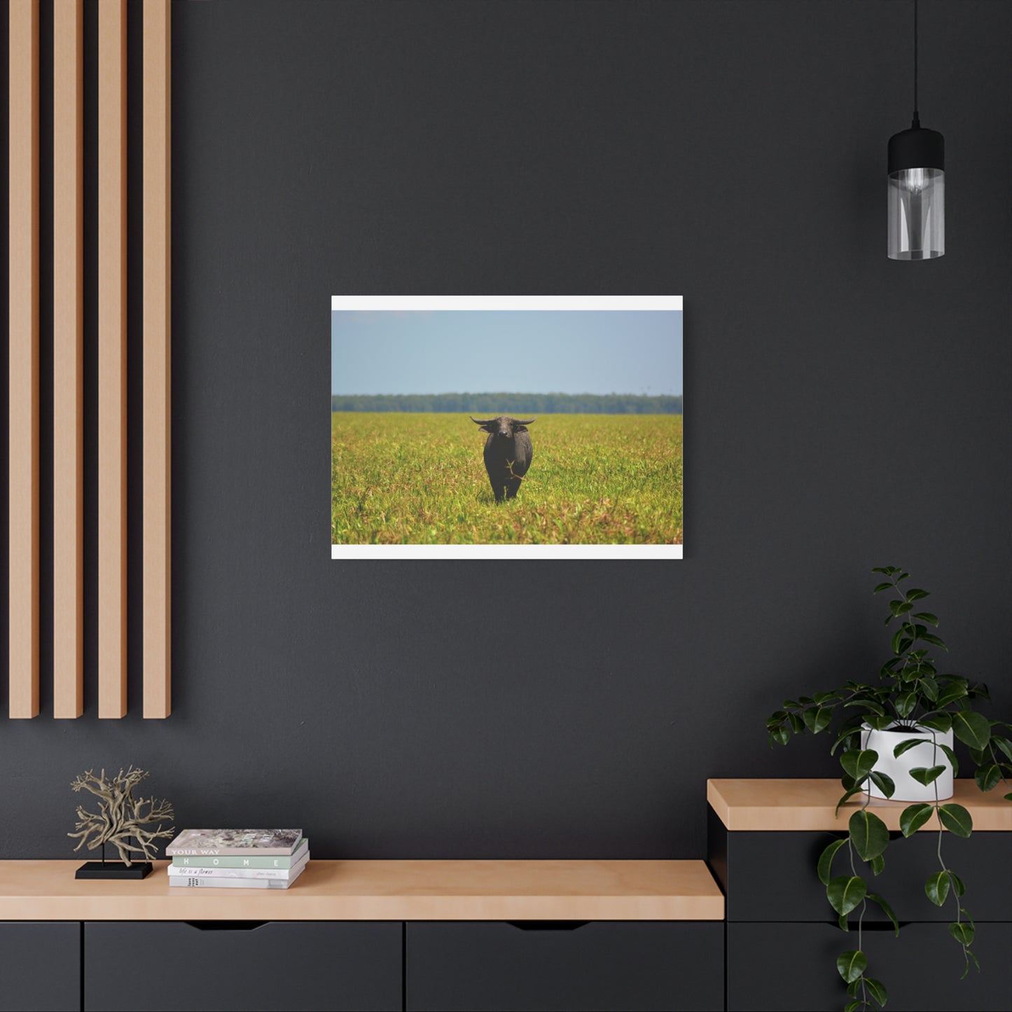 Asiatic Water Buffalo Australian Outback - Canvas Print