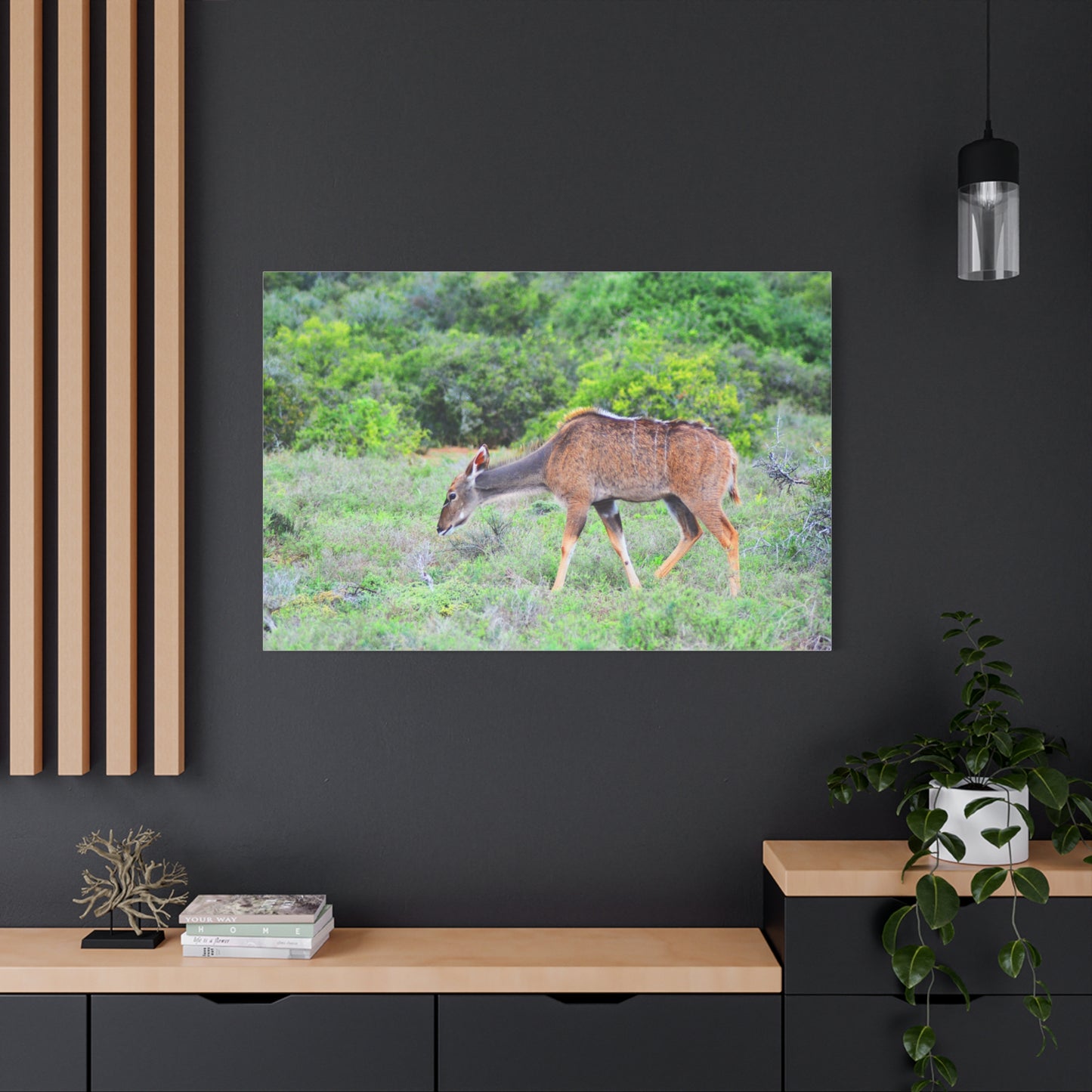 Africa Kudu Cow - Canvas Print