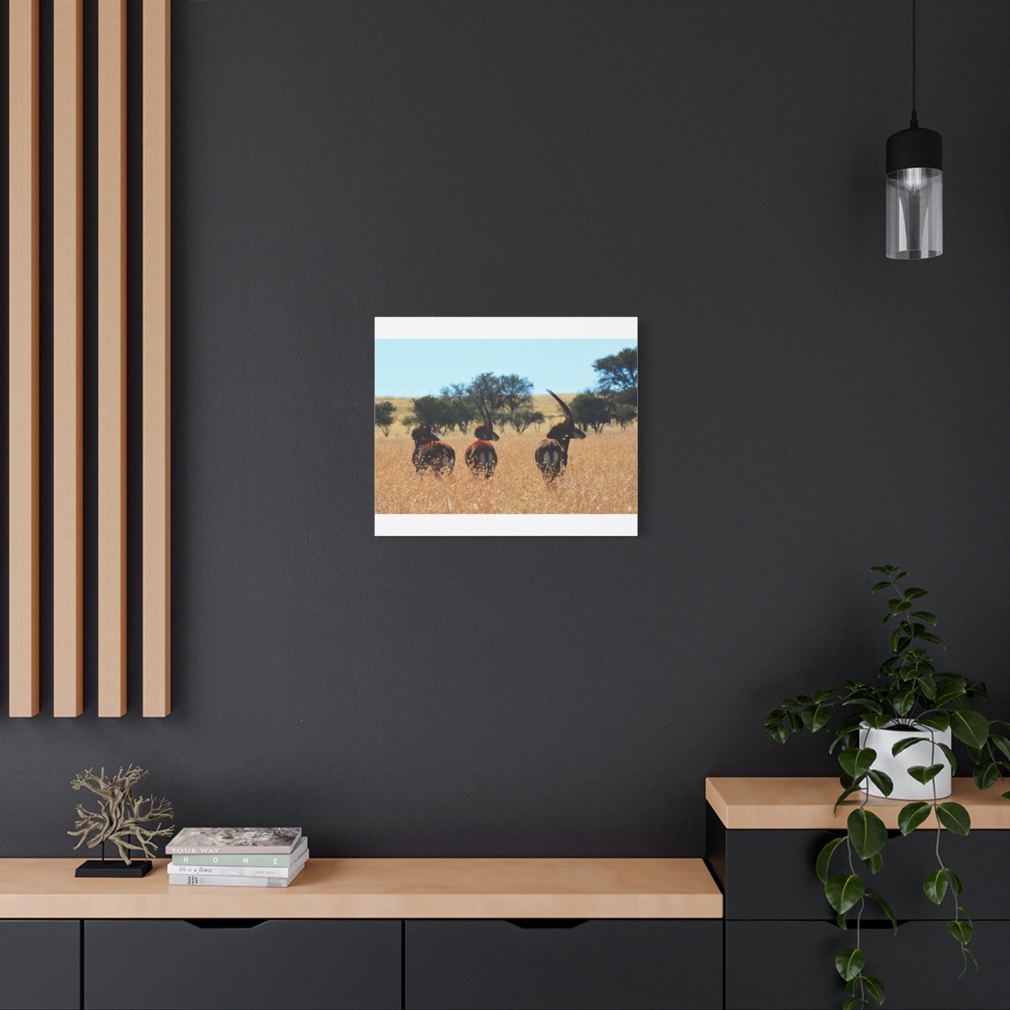 Sable Trio in Africa Canvas Print