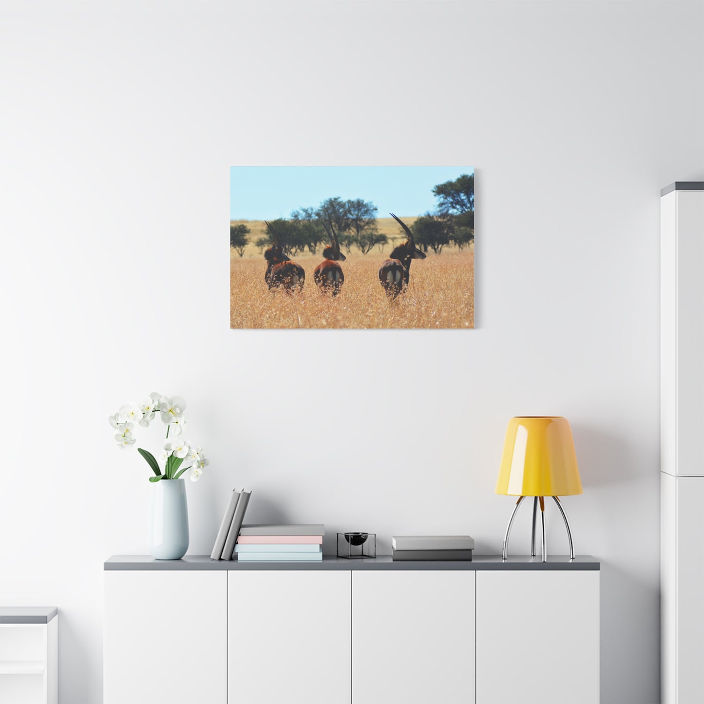 Sable Trio in Africa Canvas Print
