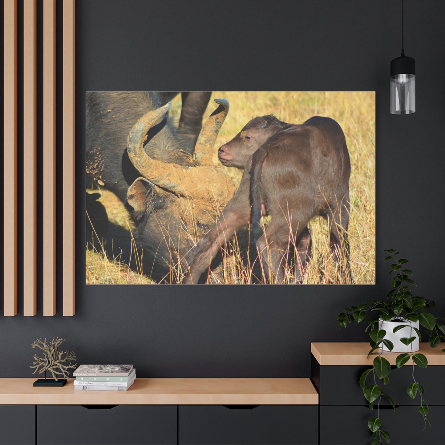 Cape Buffalo Tends to Calf