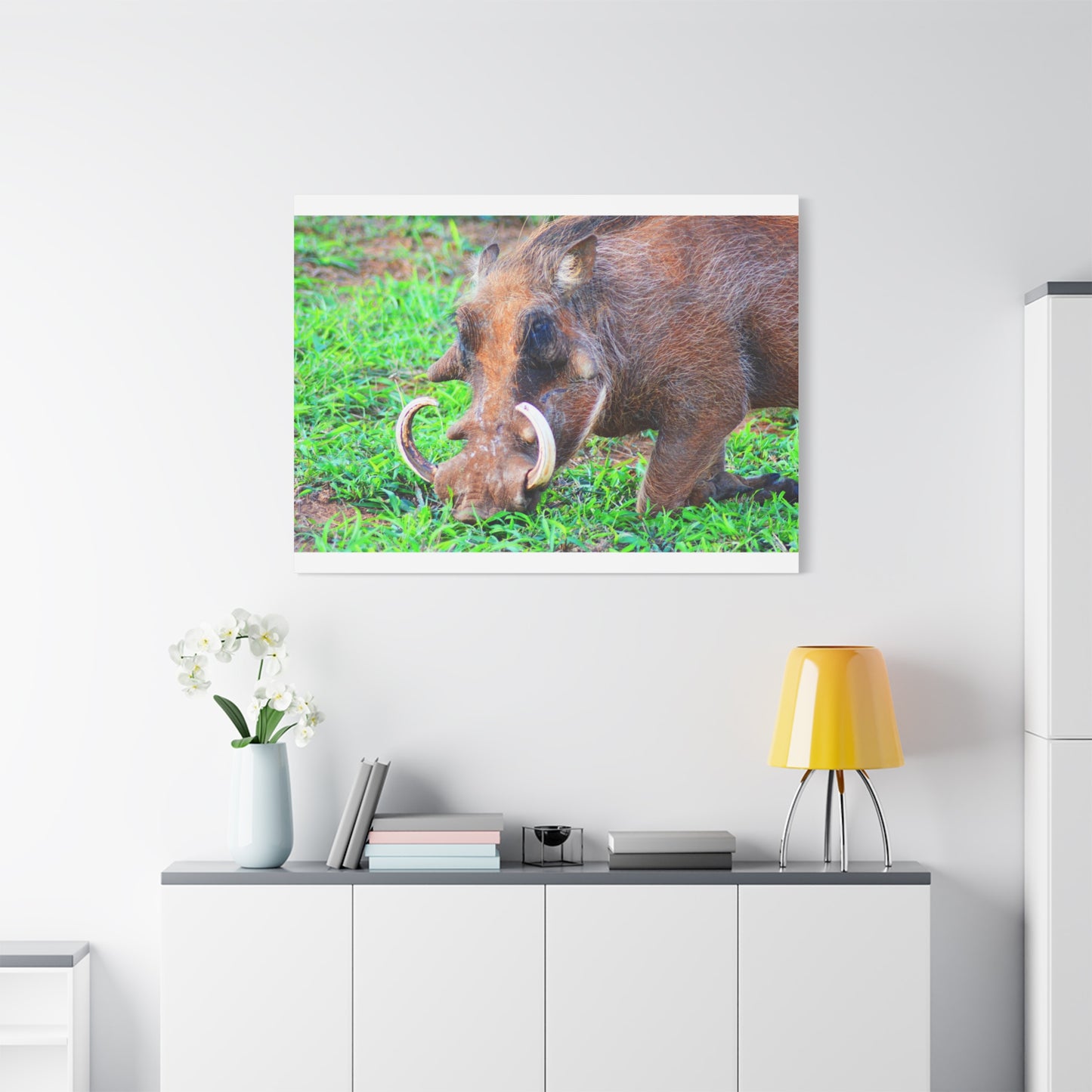 African Warthog Eating - Canvas Print