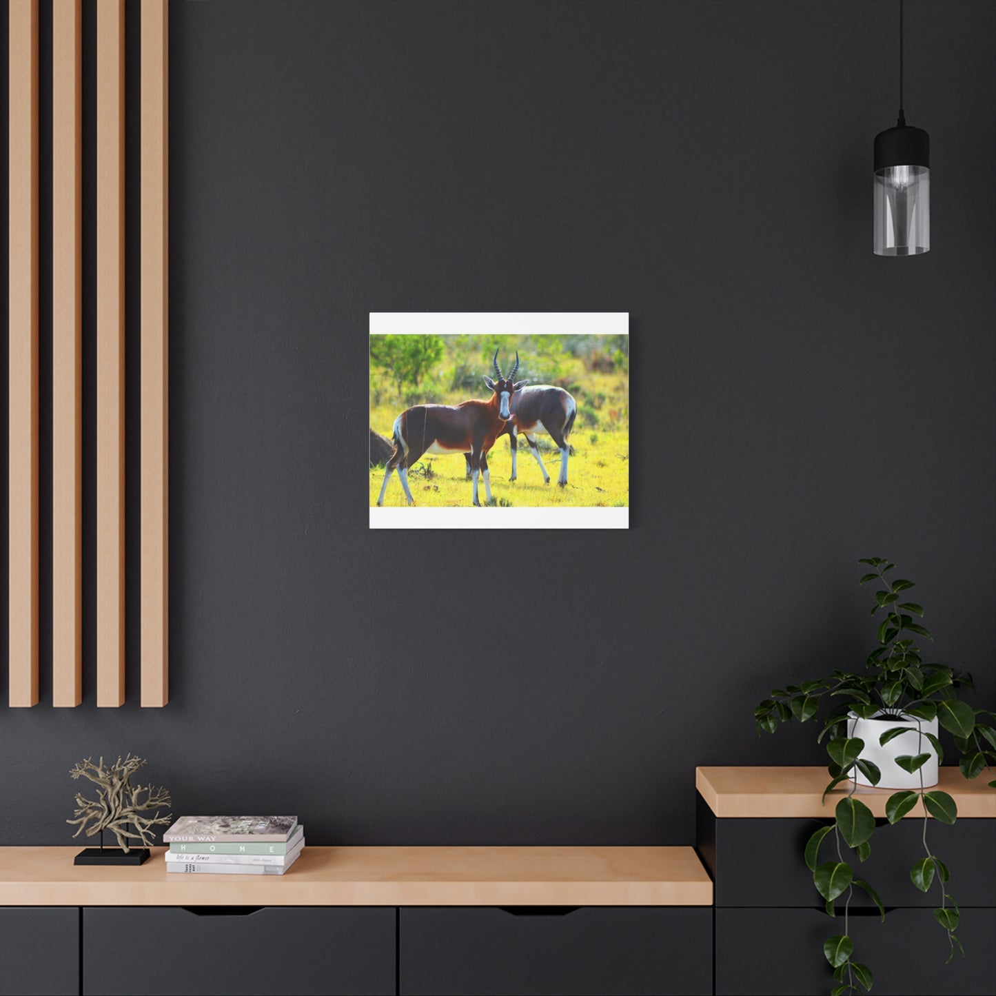 Blesbok in Africa - Canvas Print