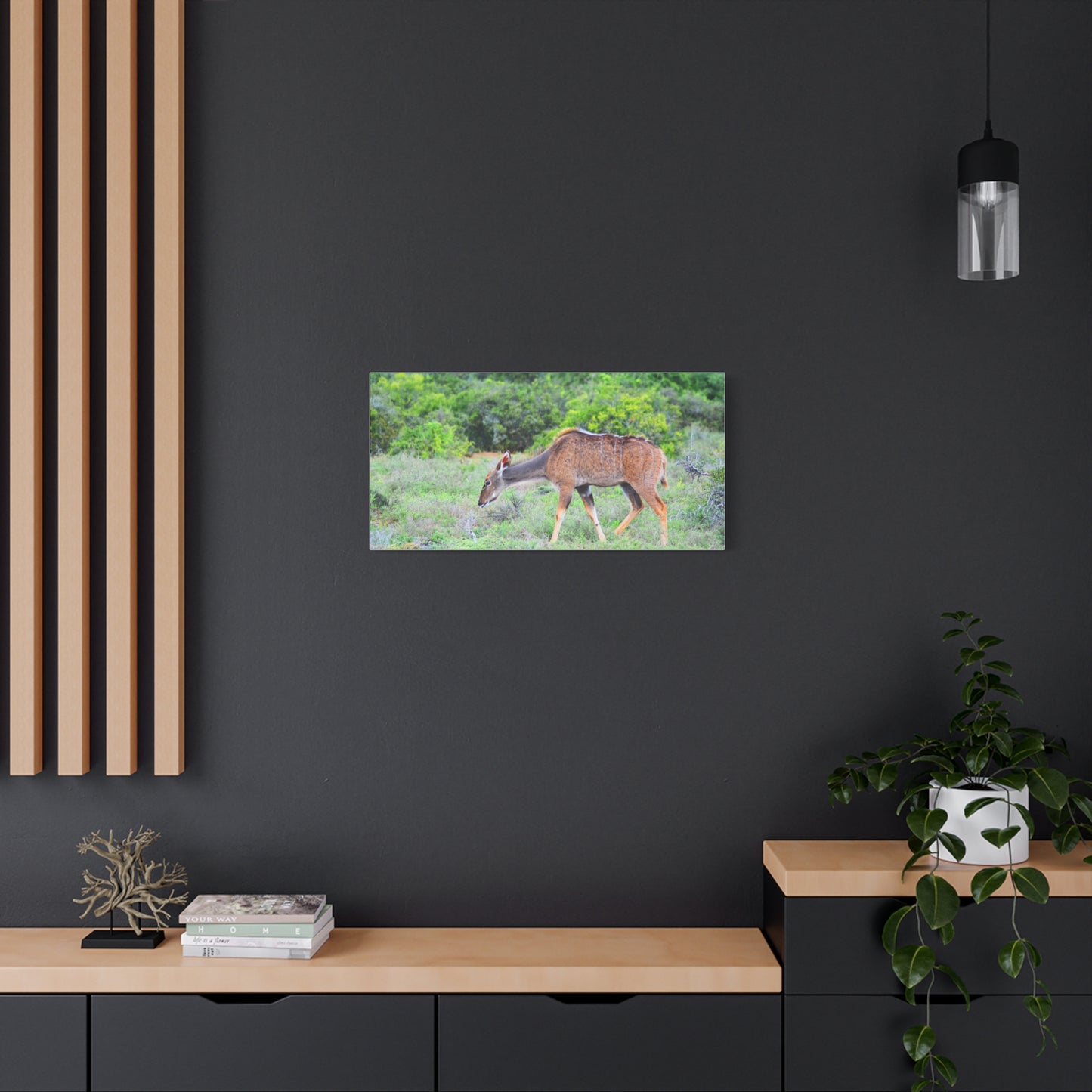 Africa Kudu Cow - Canvas Print