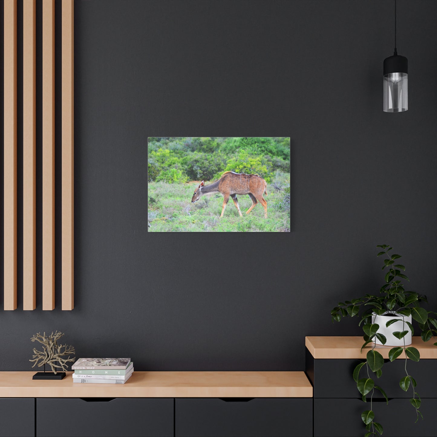 Africa Kudu Cow - Canvas Print