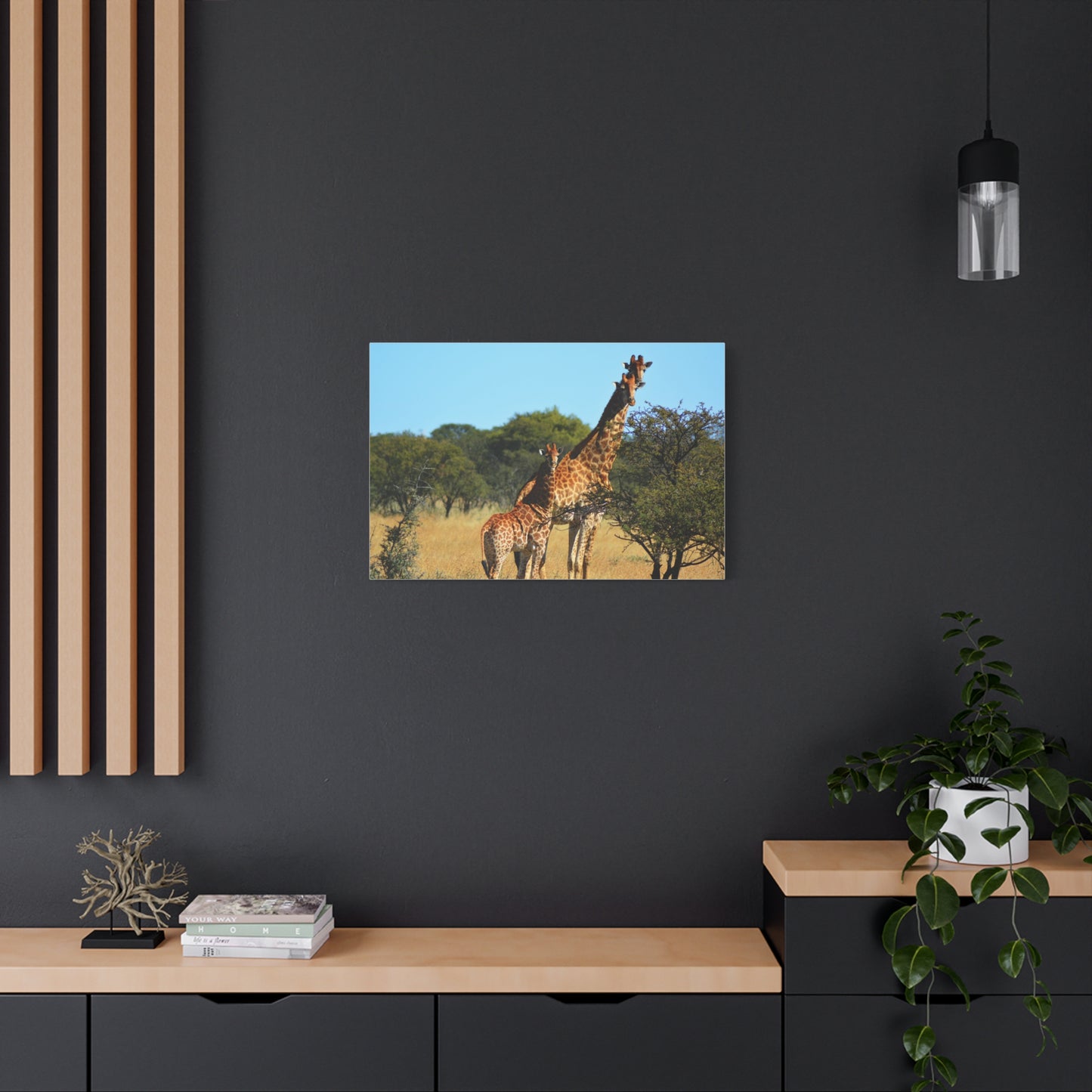 Giraffe Family in Africa