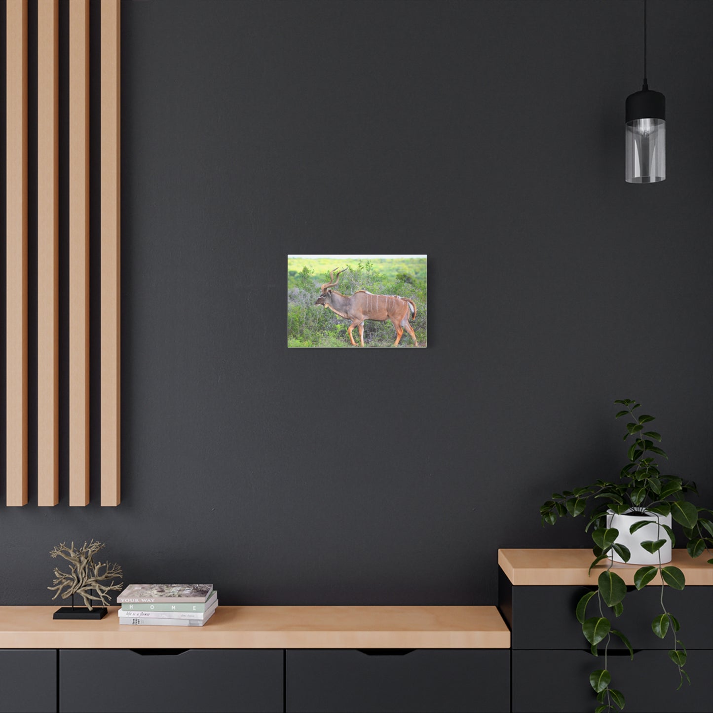 Africa Kudu Bull - Canvas Print