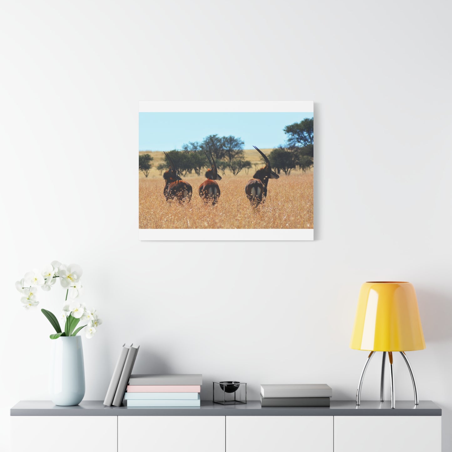 Sable Trio in Africa Canvas Print