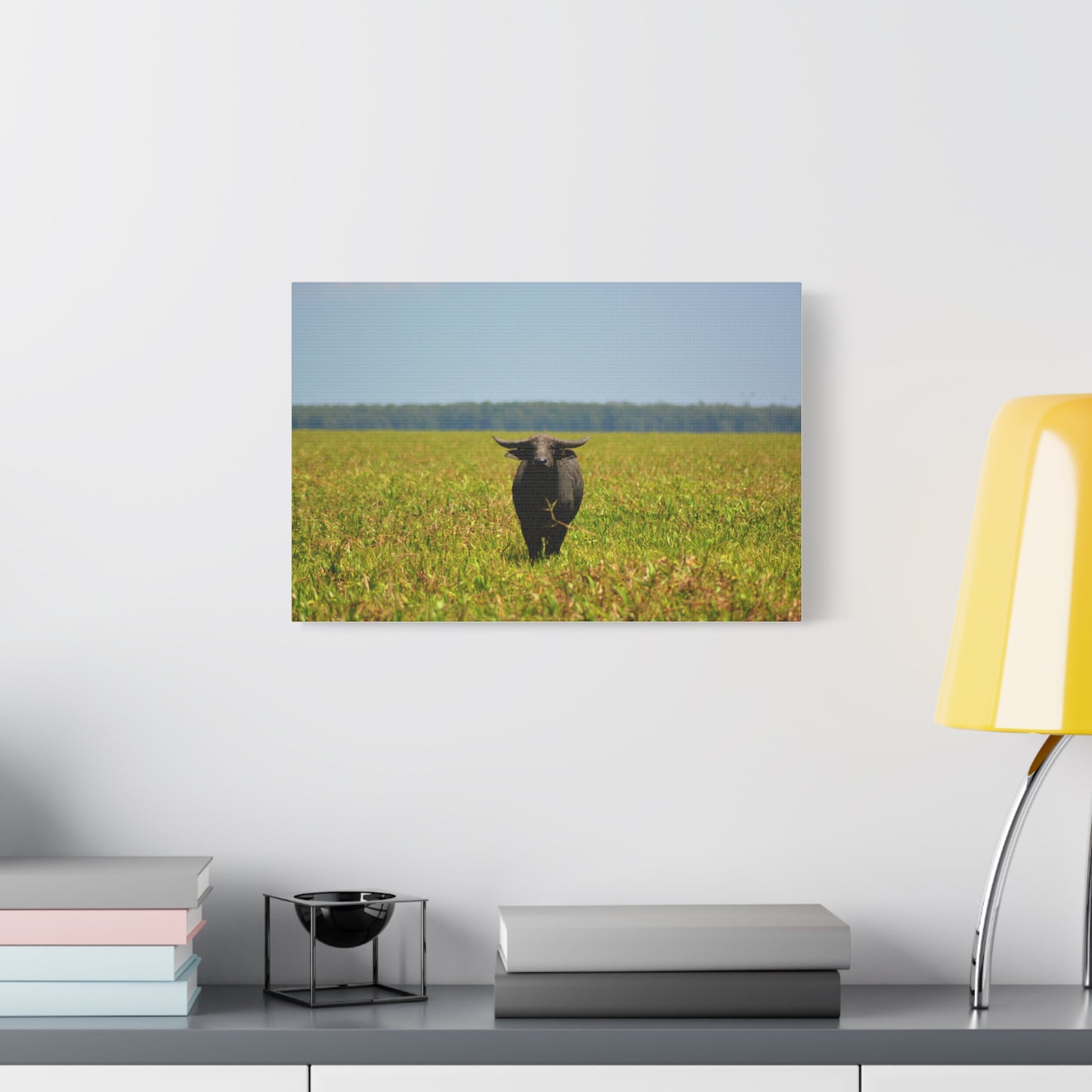 Asiatic Water Buffalo Australian Outback - Canvas Print