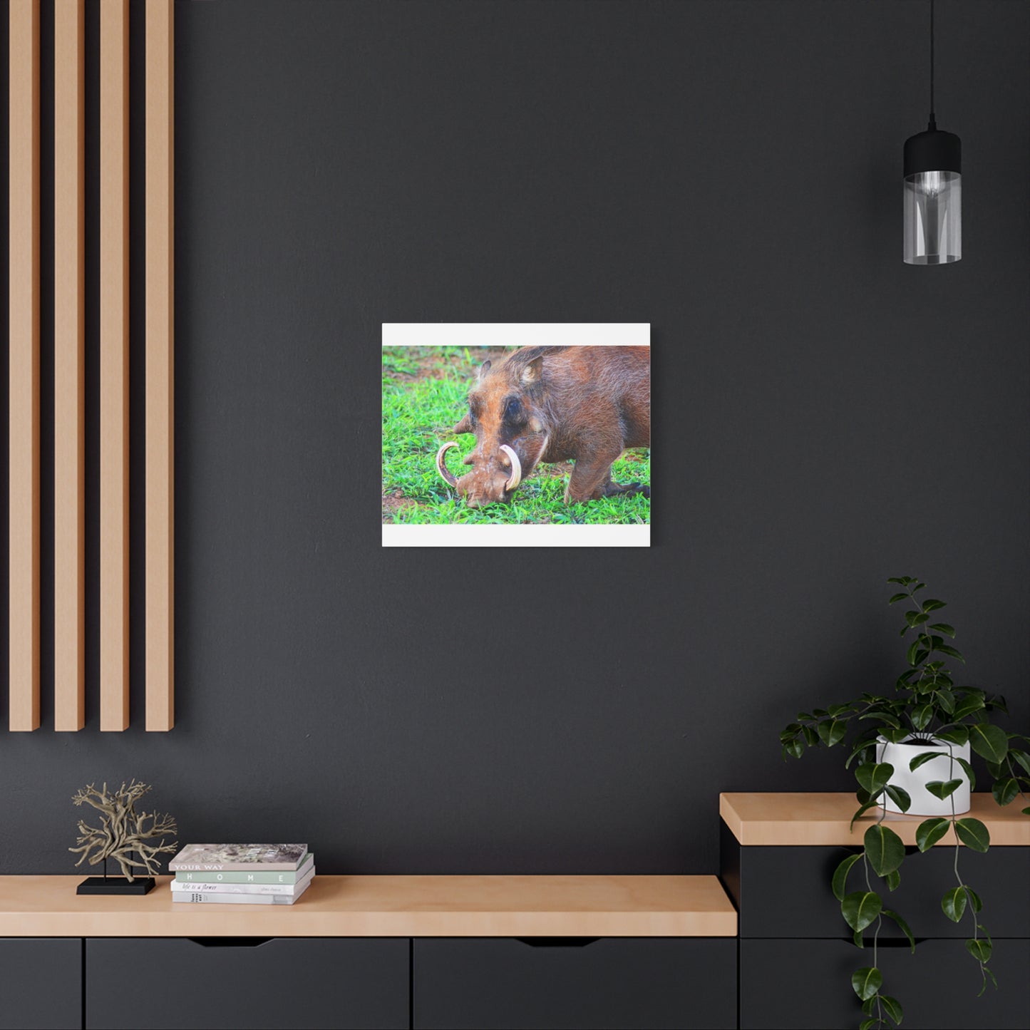 African Warthog Eating - Canvas Print