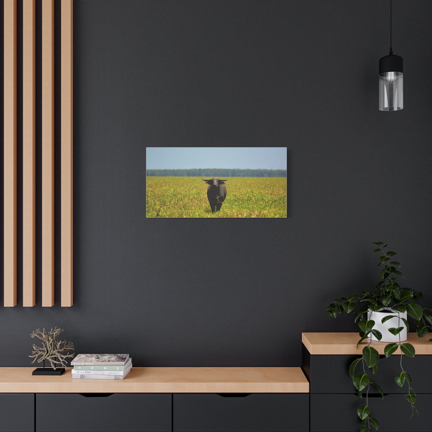Asiatic Water Buffalo Australian Outback - Canvas Print
