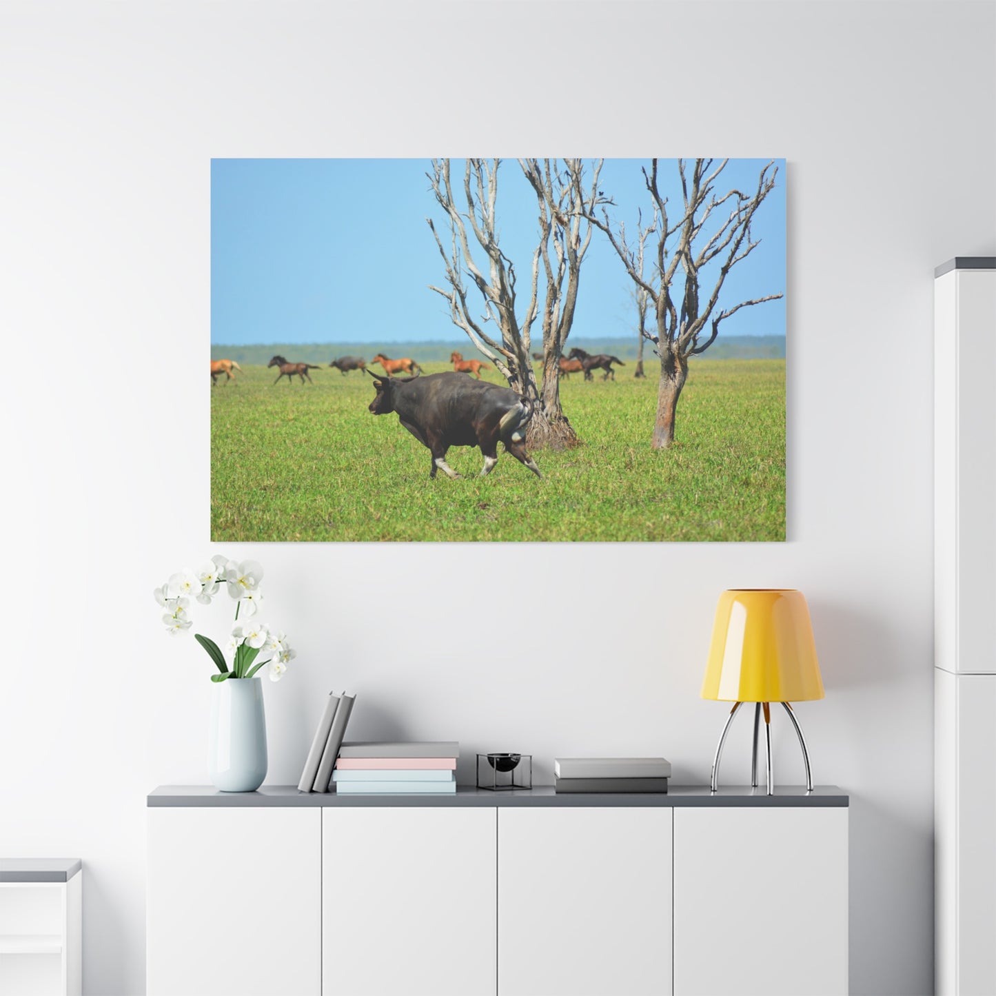 Australia Banteng - Canvas Print