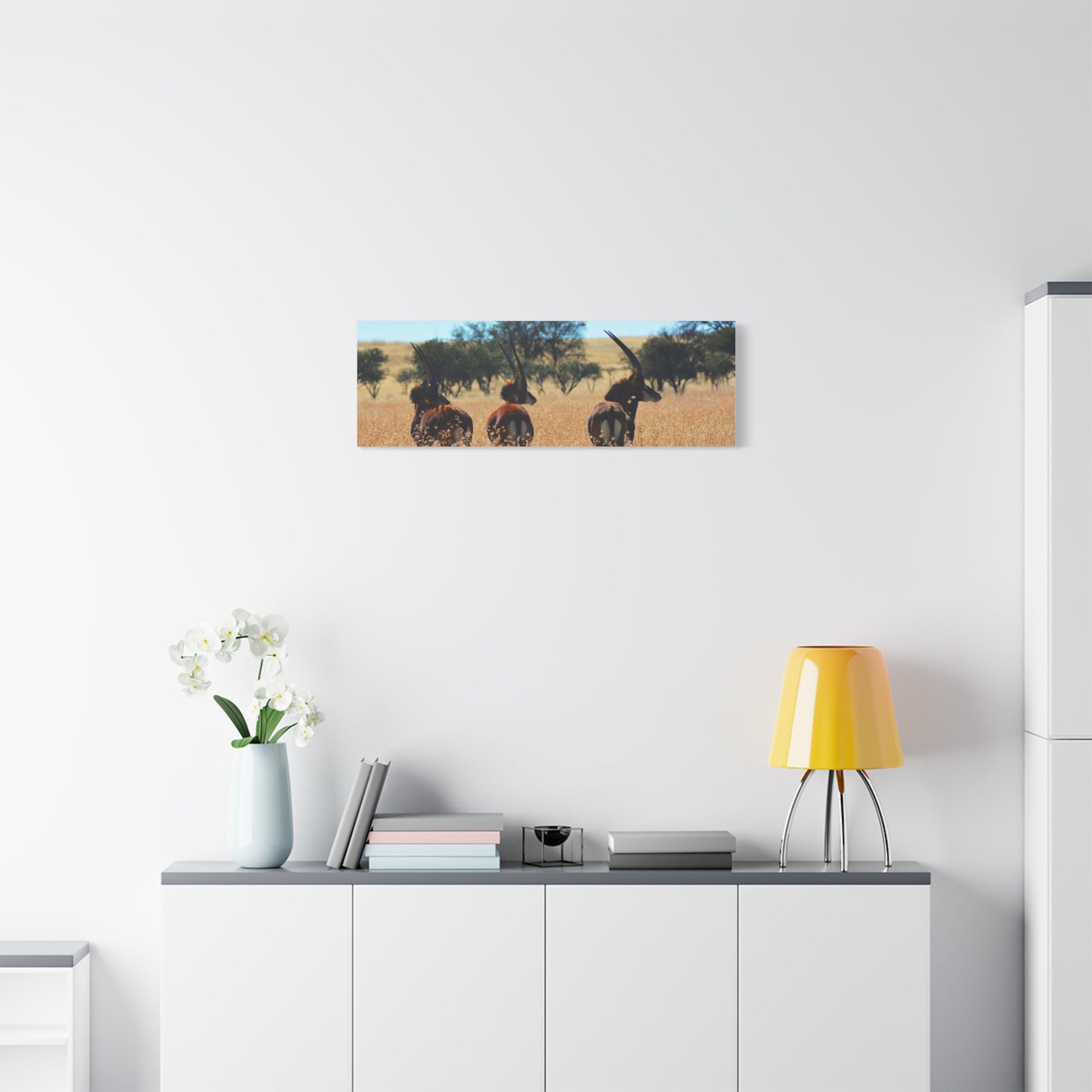 Sable Trio in Africa Canvas Print