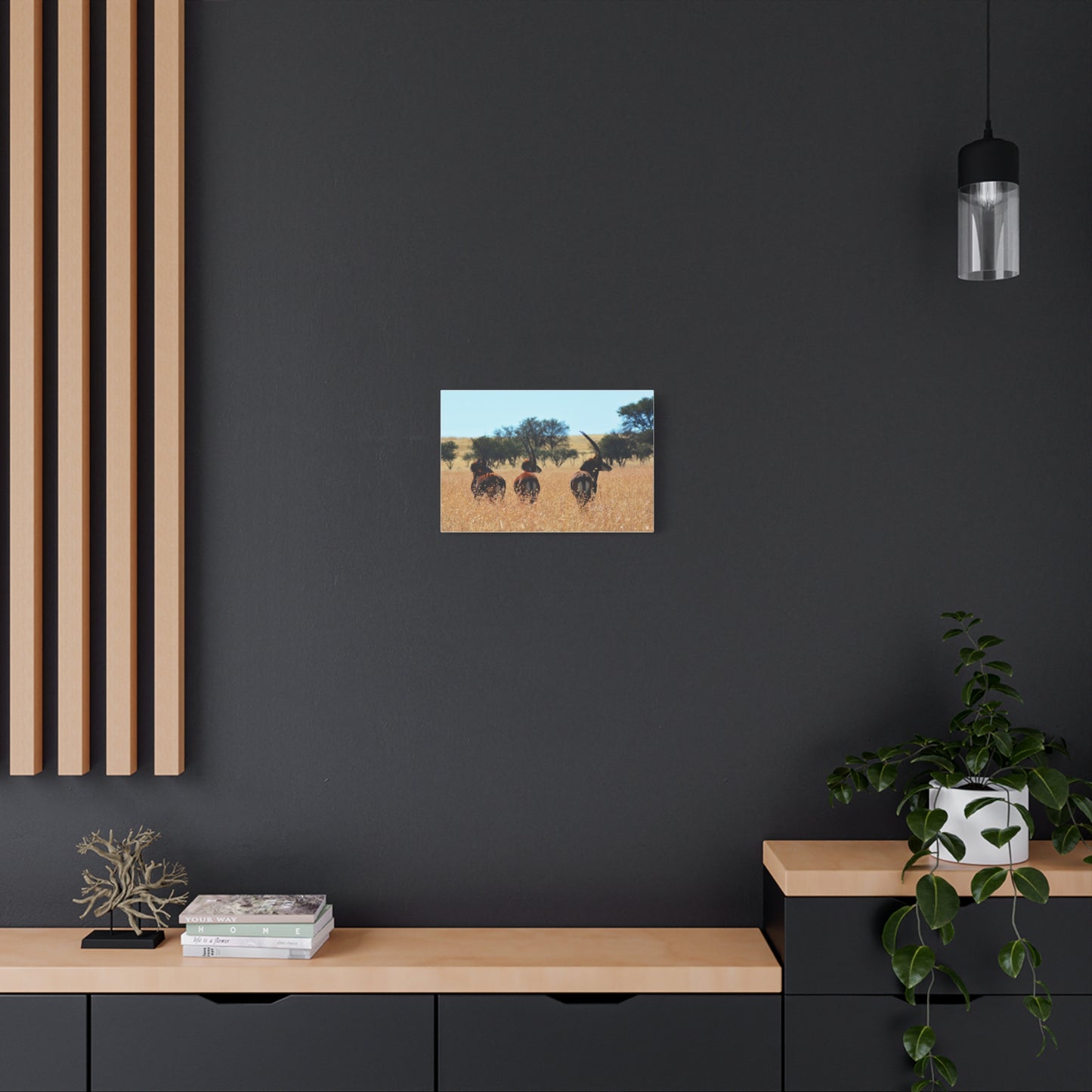 Sable Trio in Africa Canvas Print