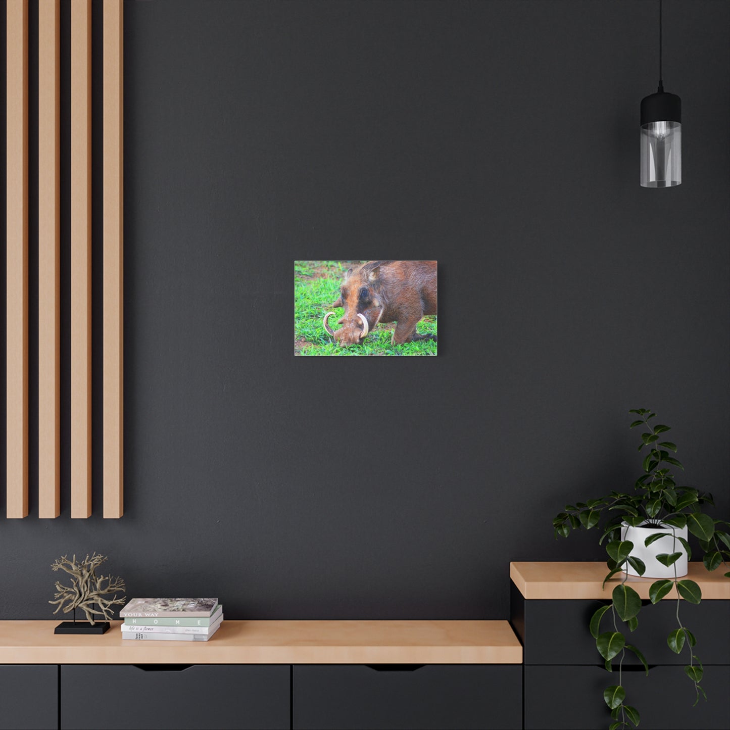 African Warthog Eating - Canvas Print