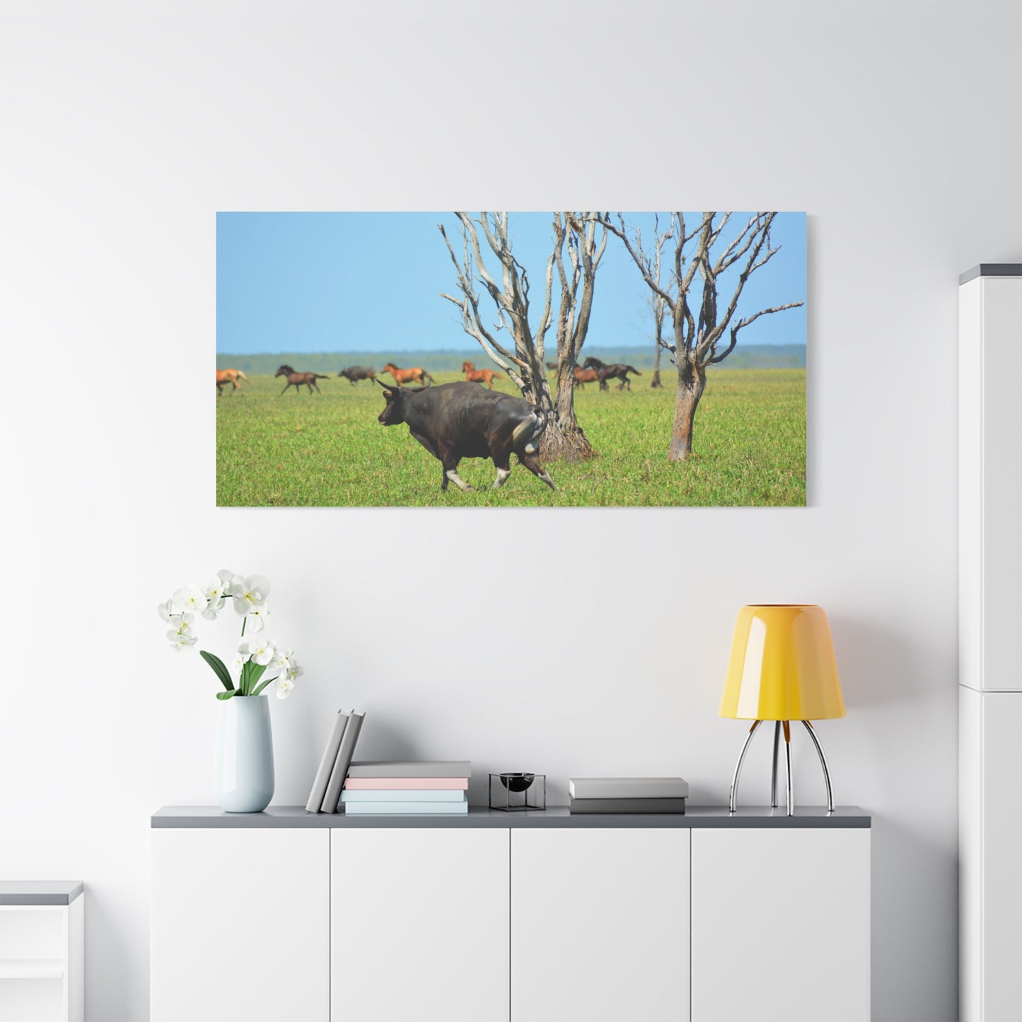Australia Banteng - Canvas Print