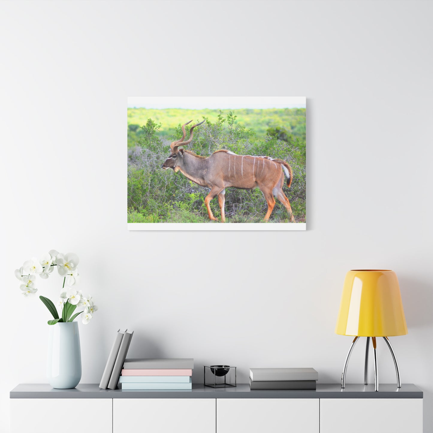 Africa Kudu Bull - Canvas Print