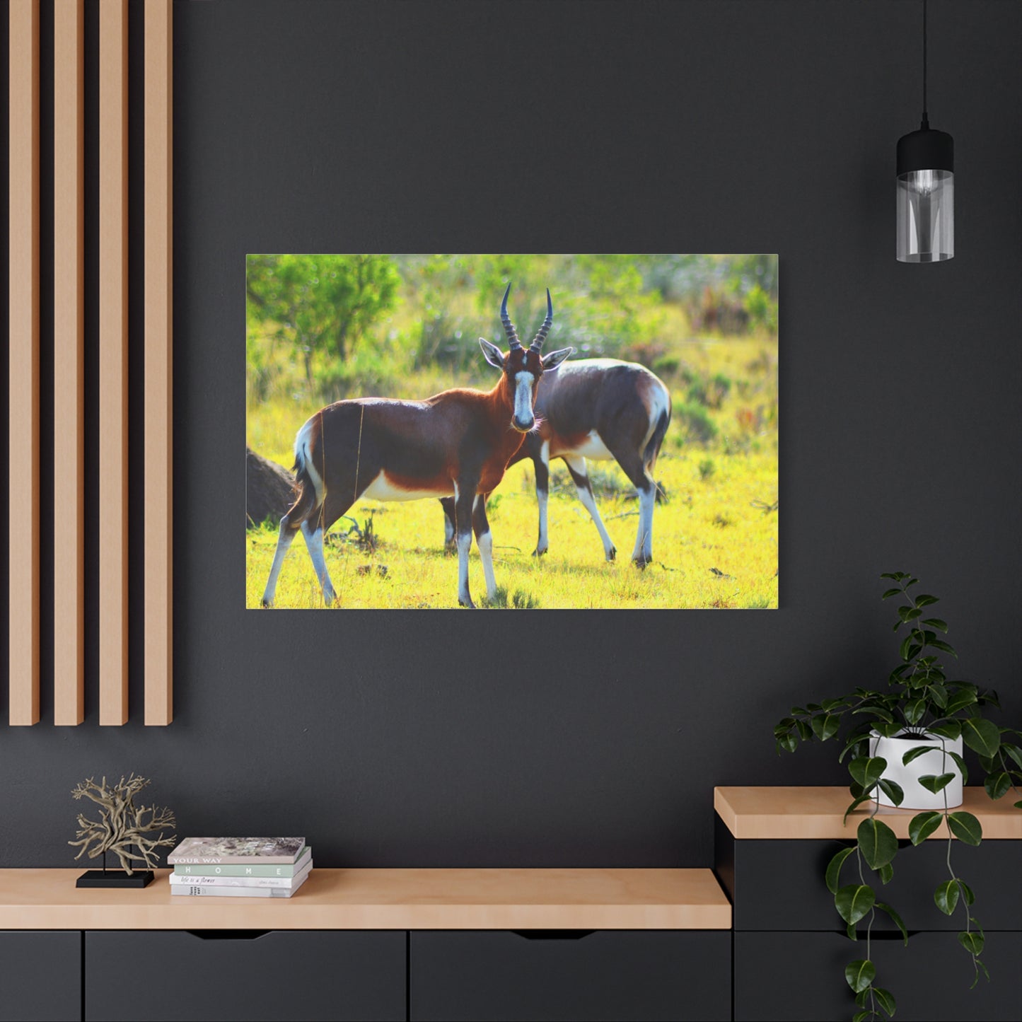 Blesbok in Africa - Canvas Print
