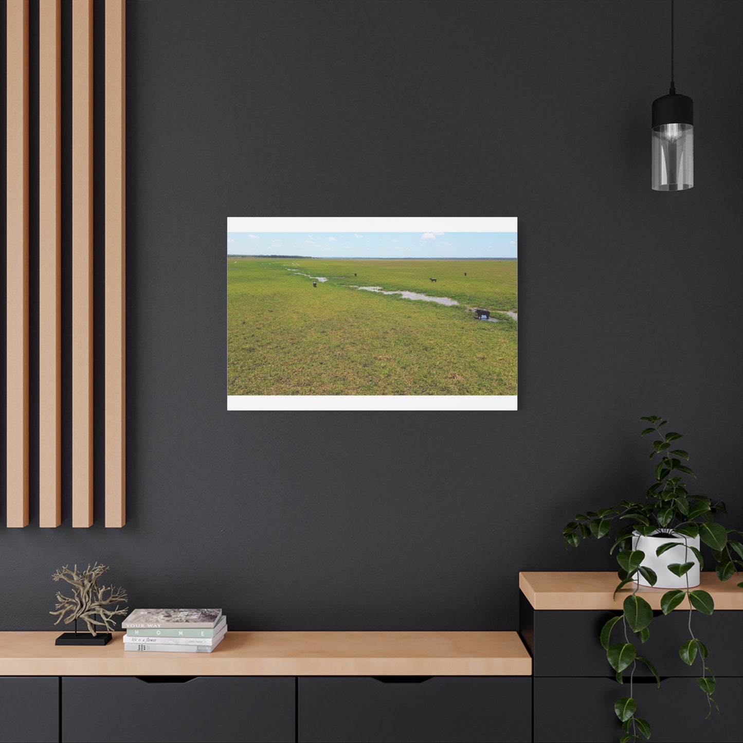 Asiatic Water Buffalo Australian Outback - Canvas Print