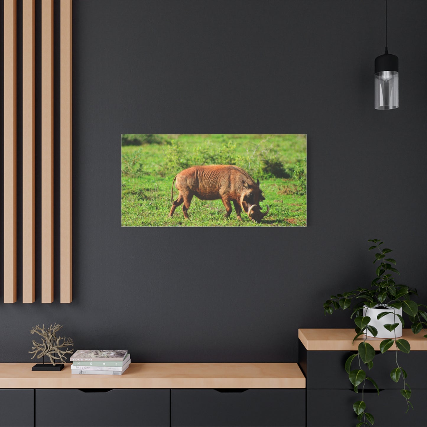 African Warthog - Canvas Print