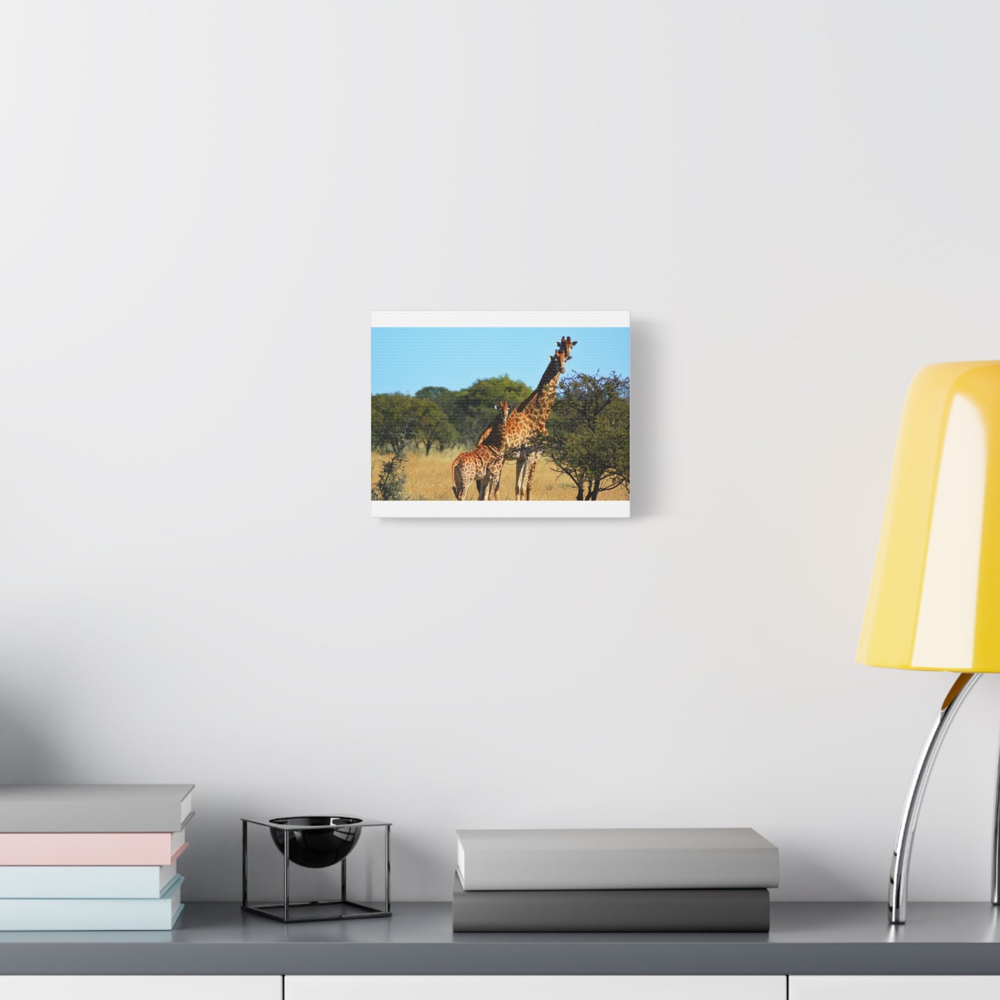 Giraffe Family in Africa