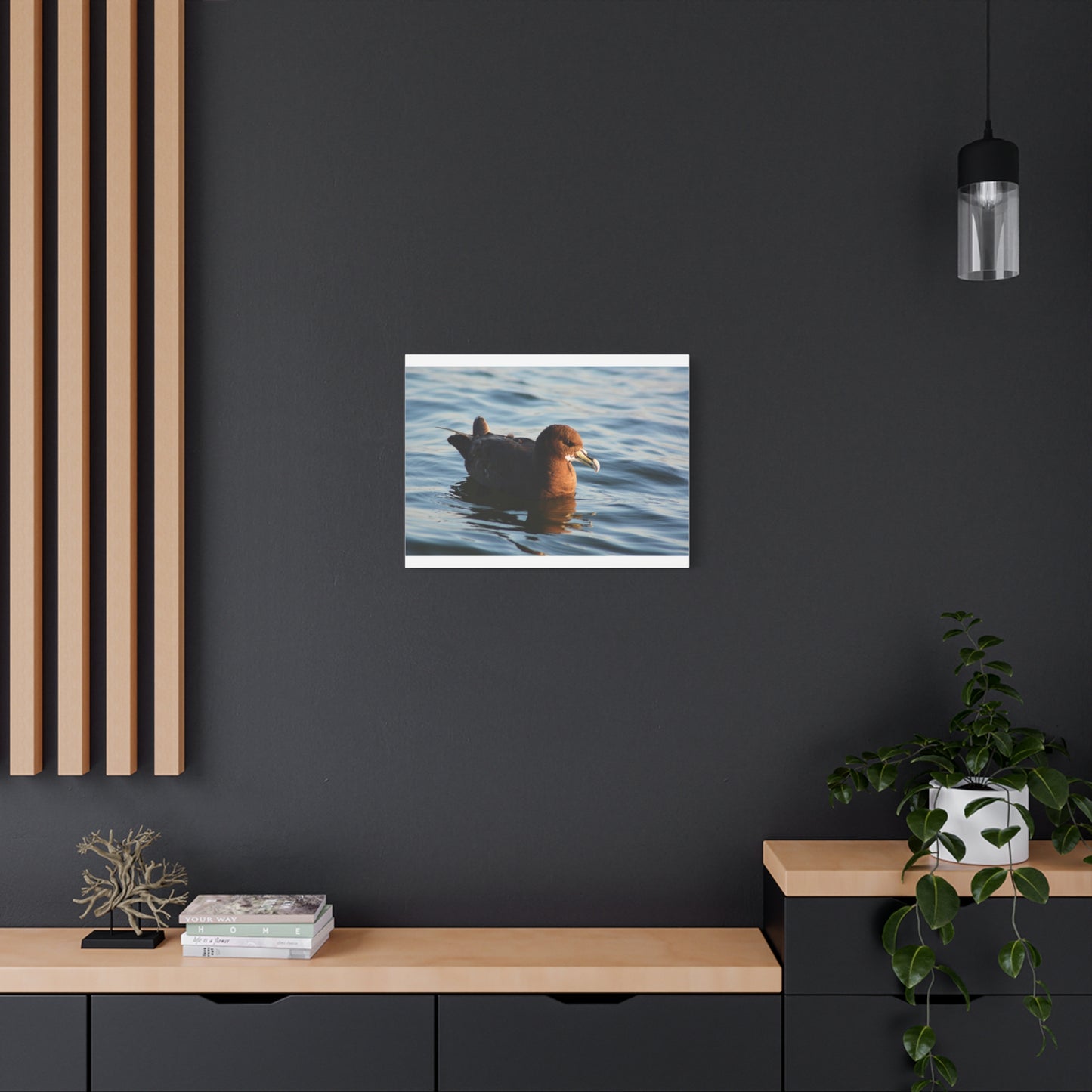 Bird Art Wall Decor, Coastal Wall Art, Ocean Decor, Nature Photography, Sea Bird Print