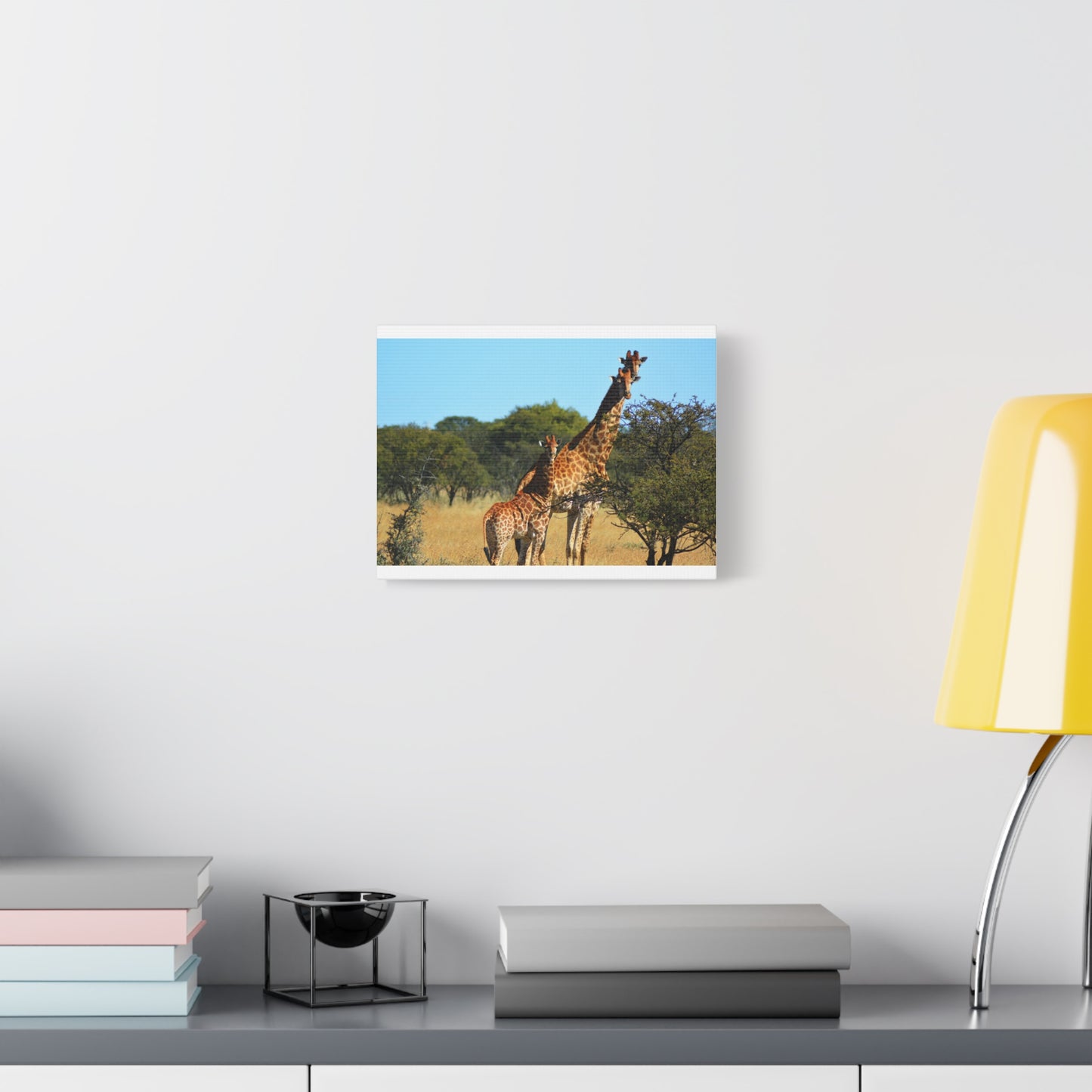 Giraffe Family in Africa