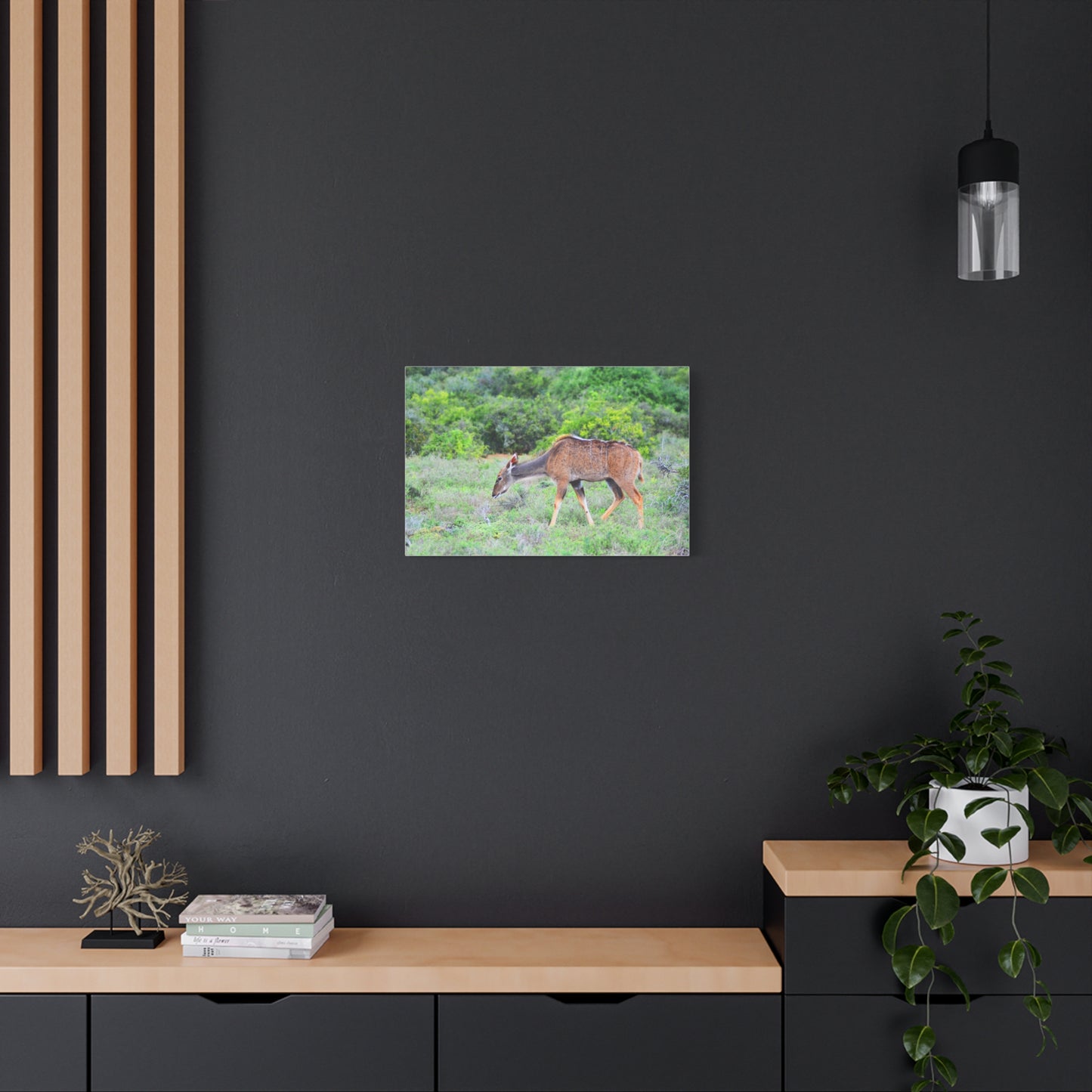 Africa Kudu Cow - Canvas Print
