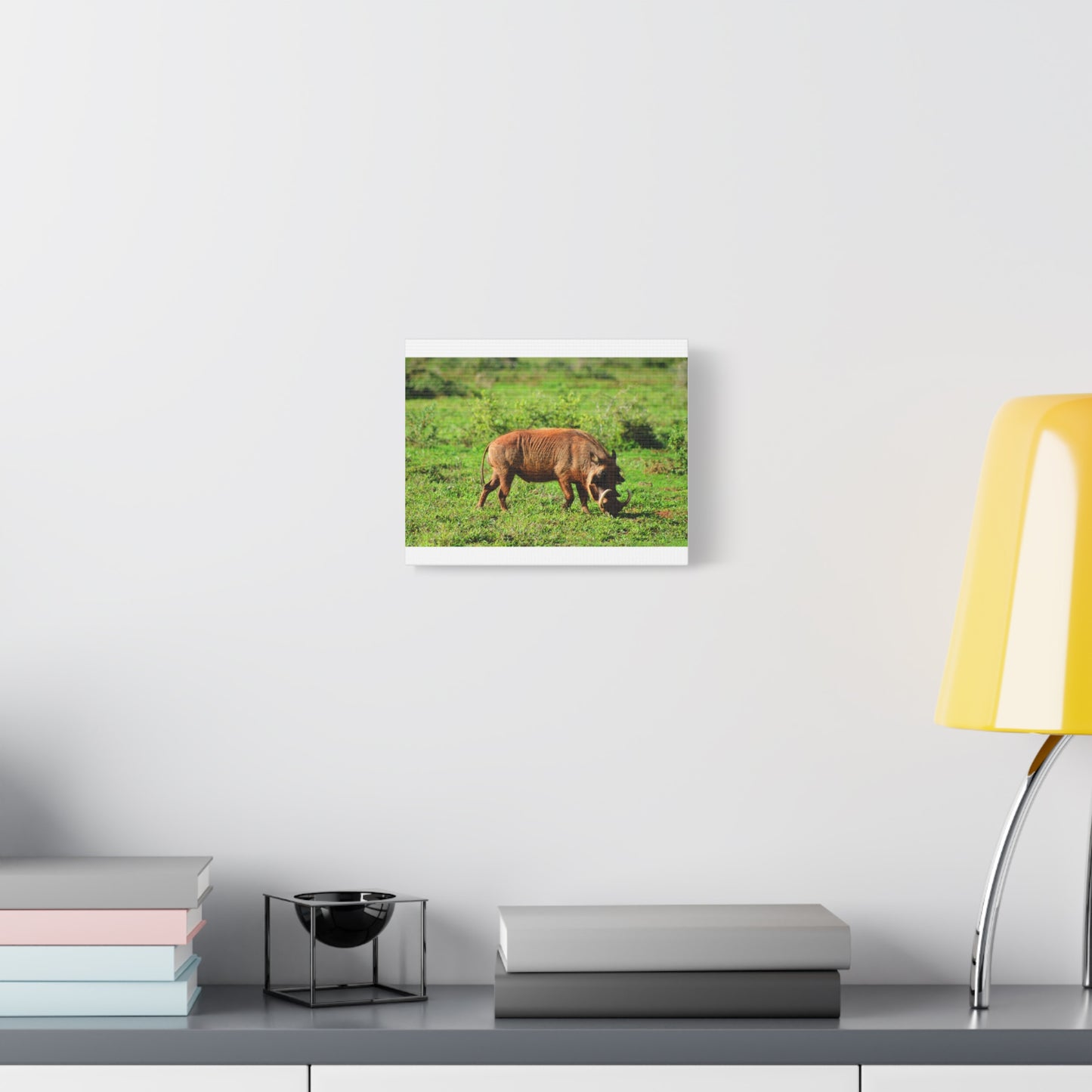 African Warthog - Canvas Print