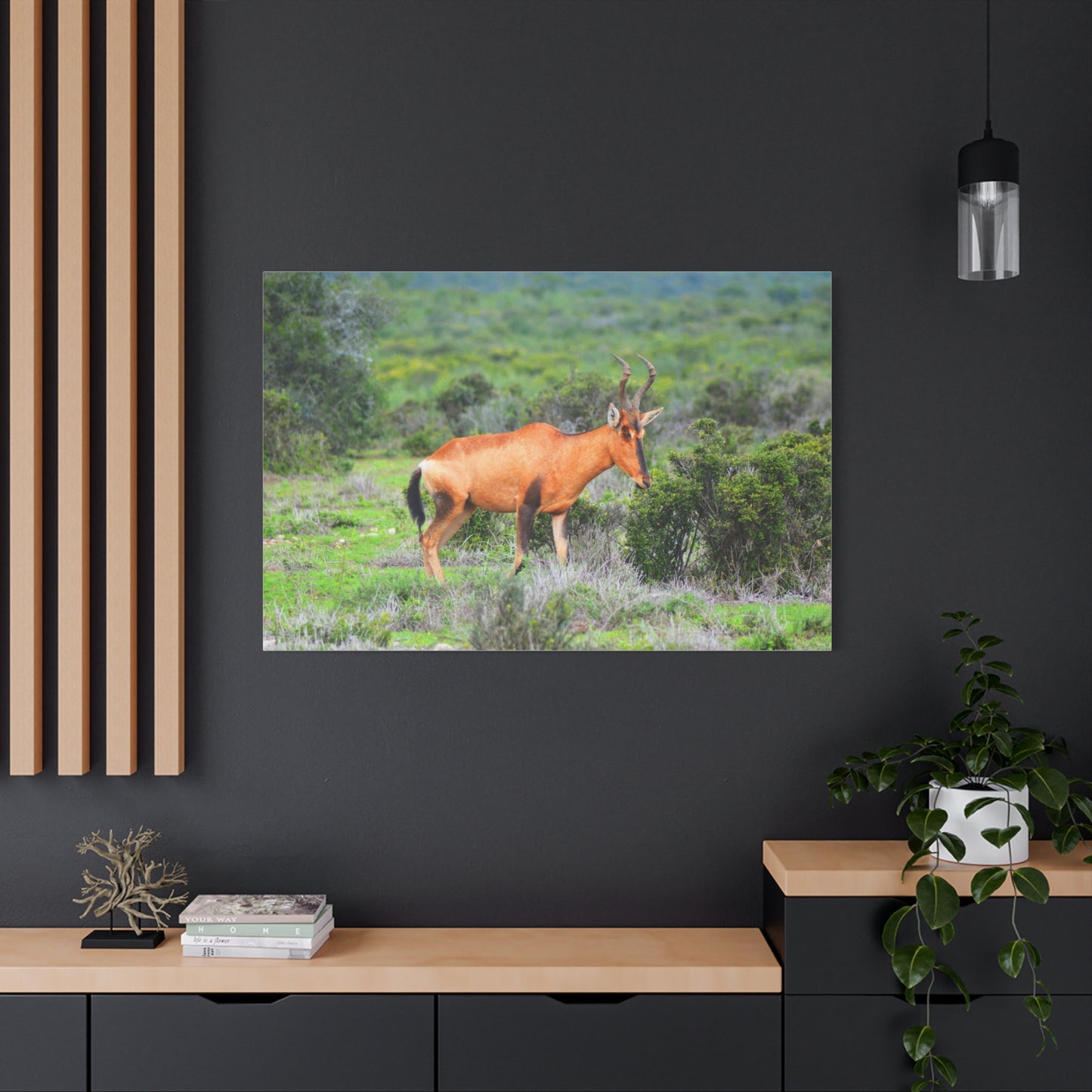 Africa Red Hartebeest - Canvas Print
