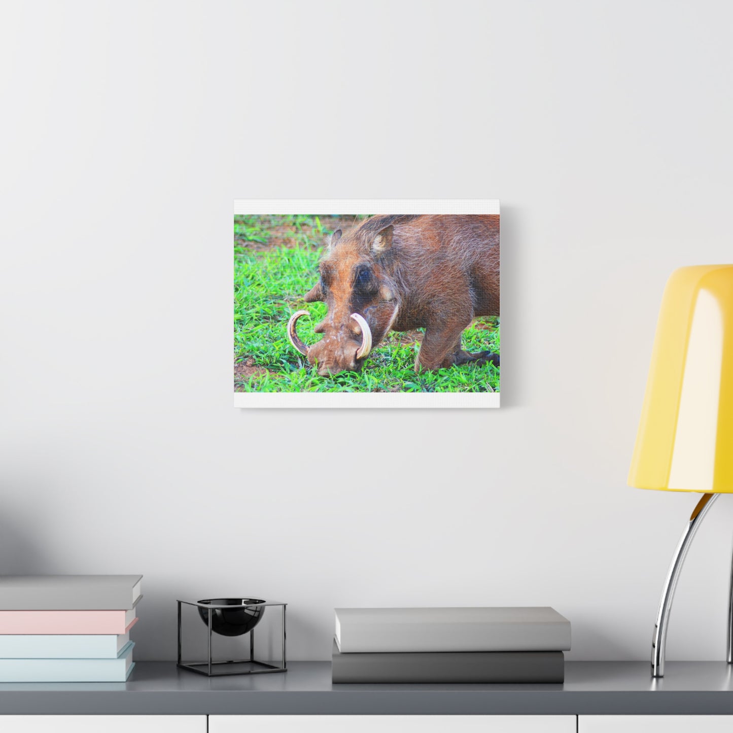 African Warthog Eating - Canvas Print