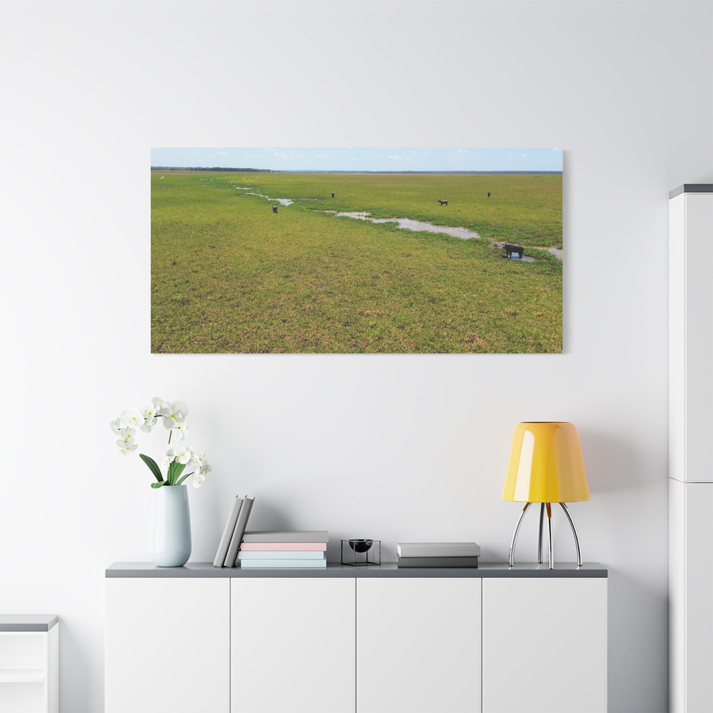Asiatic Water Buffalo Australian Outback - Canvas Print