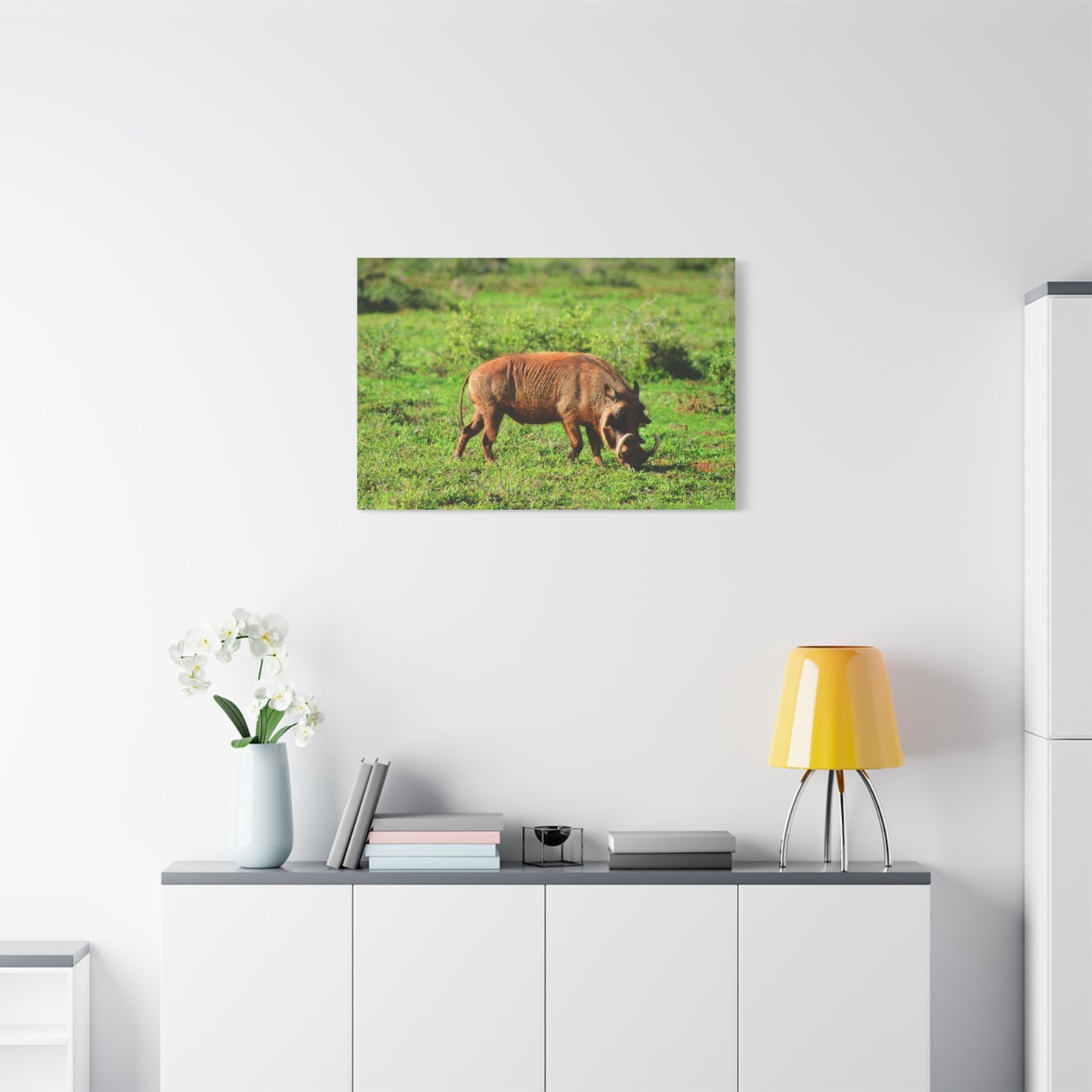 African Warthog - Canvas Print