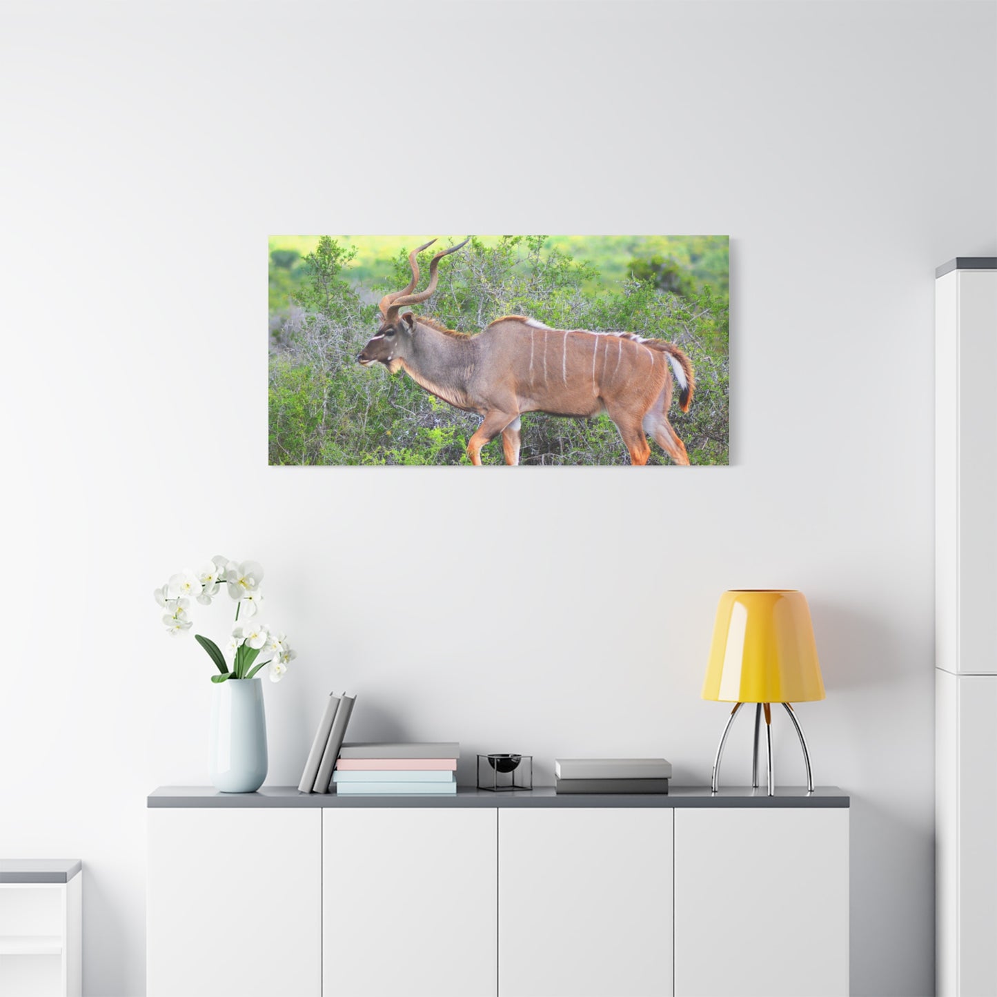 Africa Kudu Bull - Canvas Print