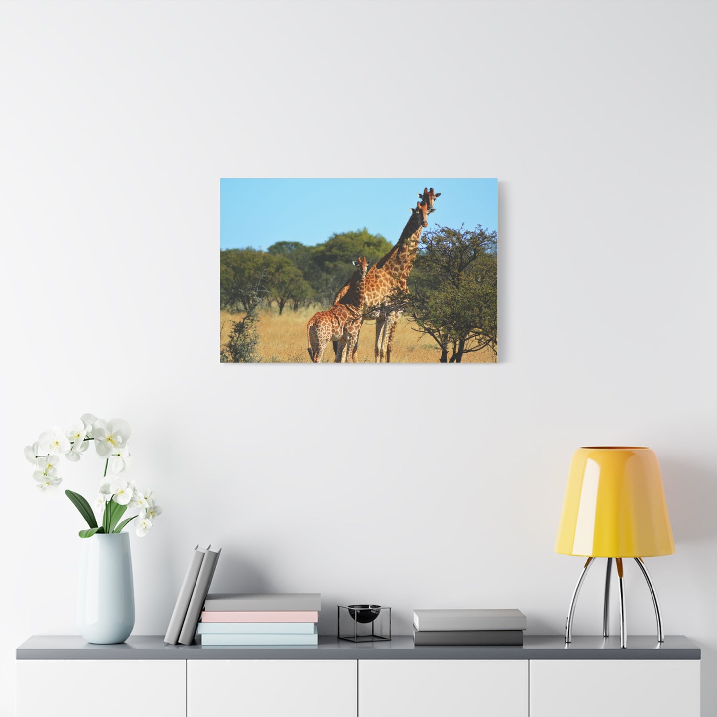 Giraffe Family in Africa
