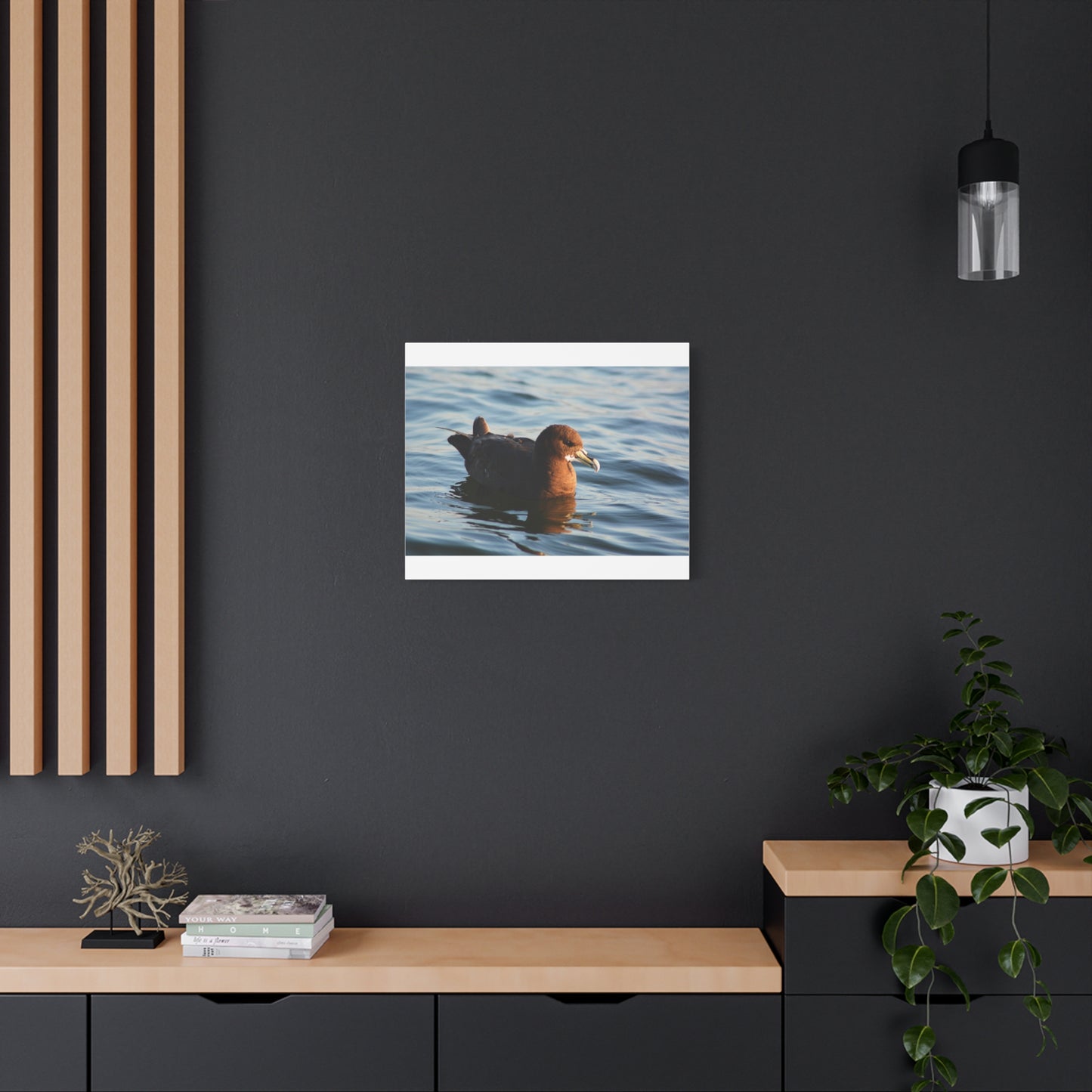 Bird Art Wall Decor, Coastal Wall Art, Ocean Decor, Nature Photography, Sea Bird Print