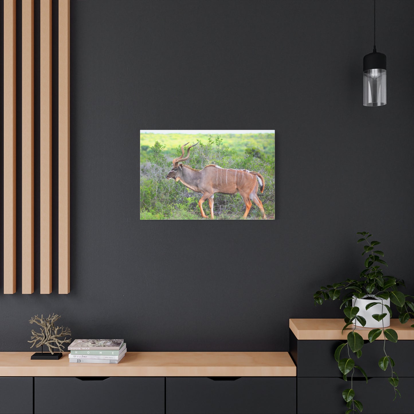 Africa Kudu Bull - Canvas Print