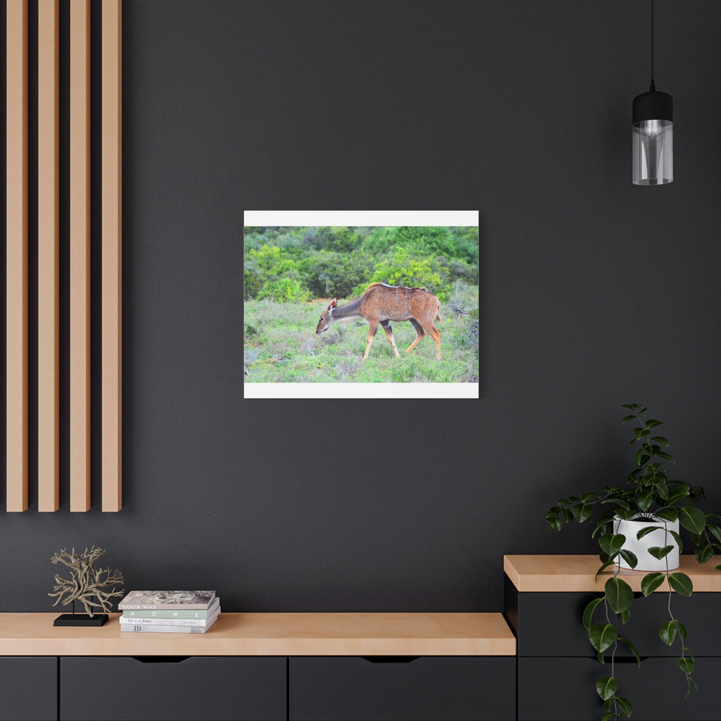 Africa Kudu Cow - Canvas Print