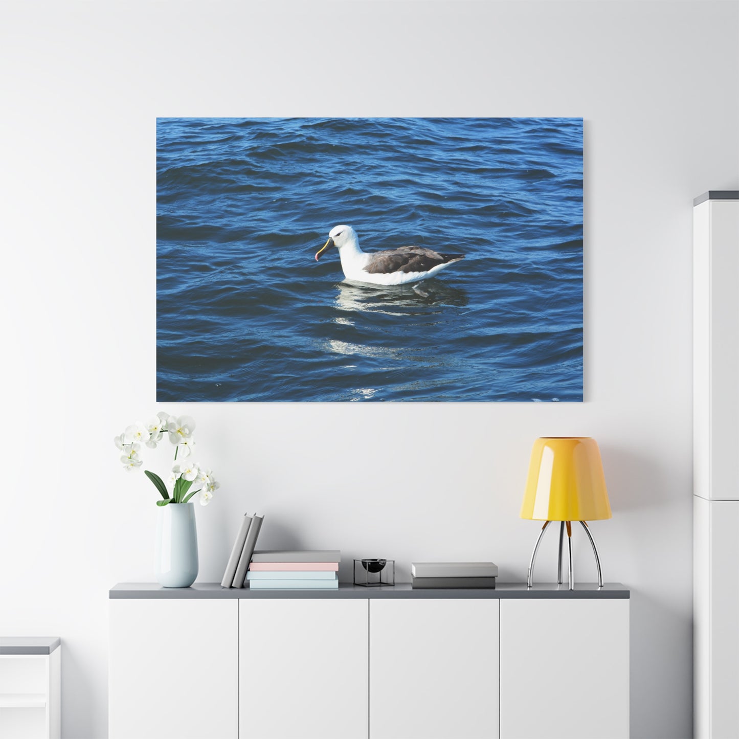 Albatross Canvas Print Sea Bird