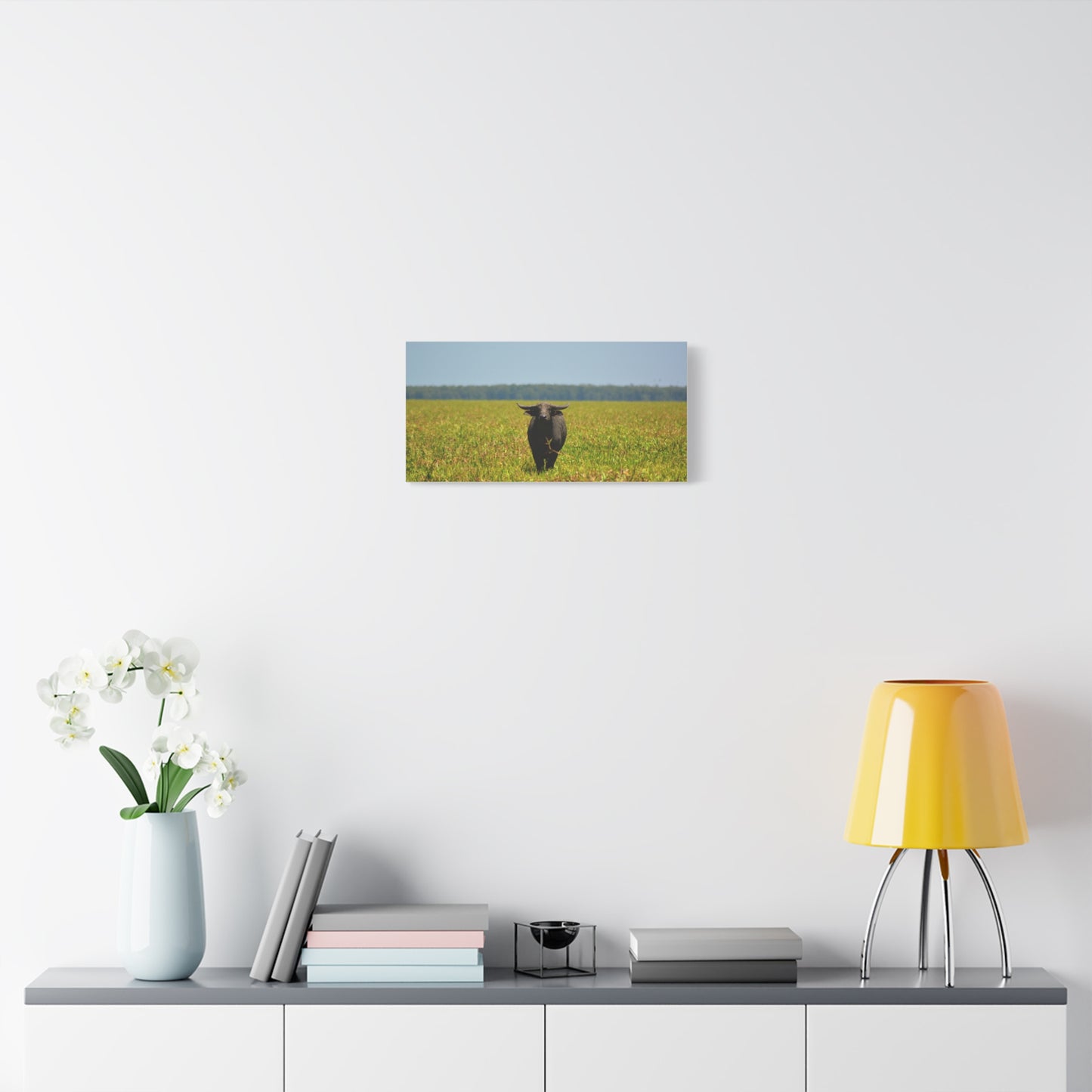 Asiatic Water Buffalo Australian Outback - Canvas Print