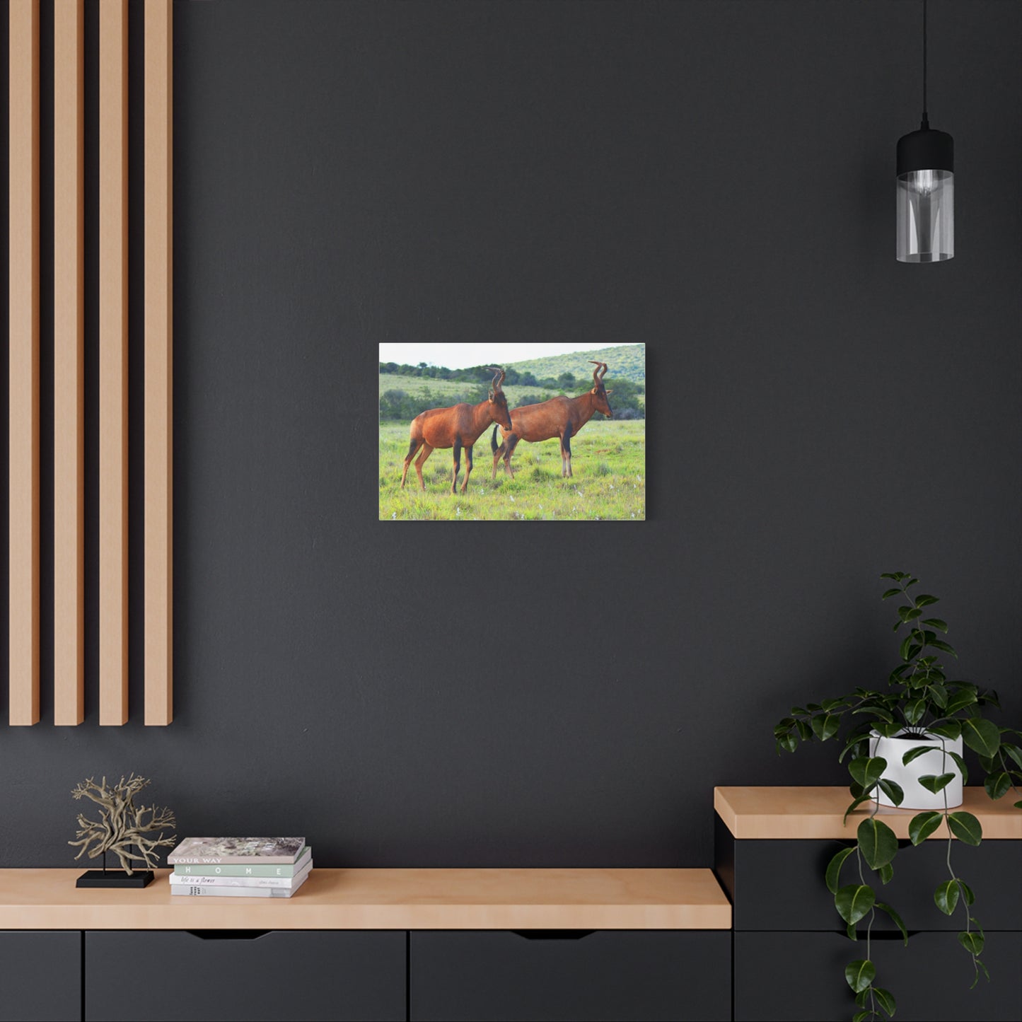 African Red Hartebeest - Canvas Print