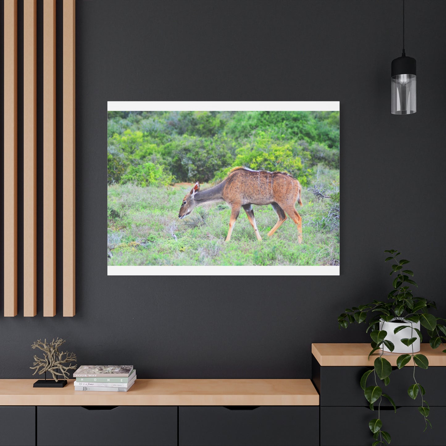 Africa Kudu Cow - Canvas Print