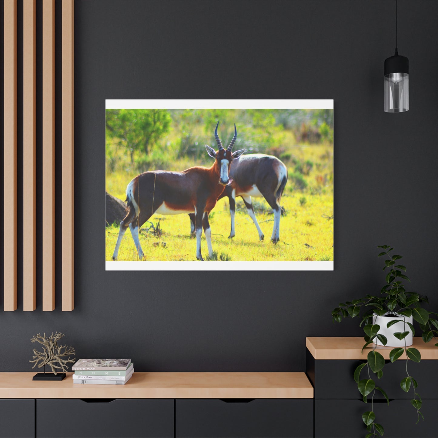 Blesbok in Africa - Canvas Print
