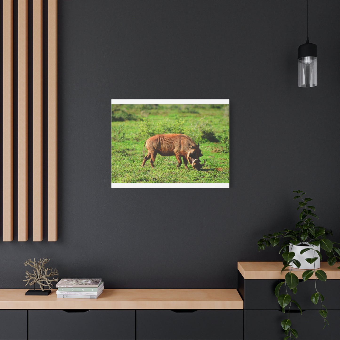 African Warthog - Canvas Print
