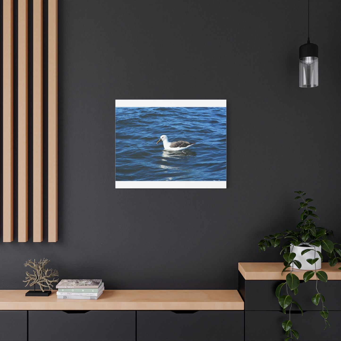Albatross Canvas Print Sea Bird