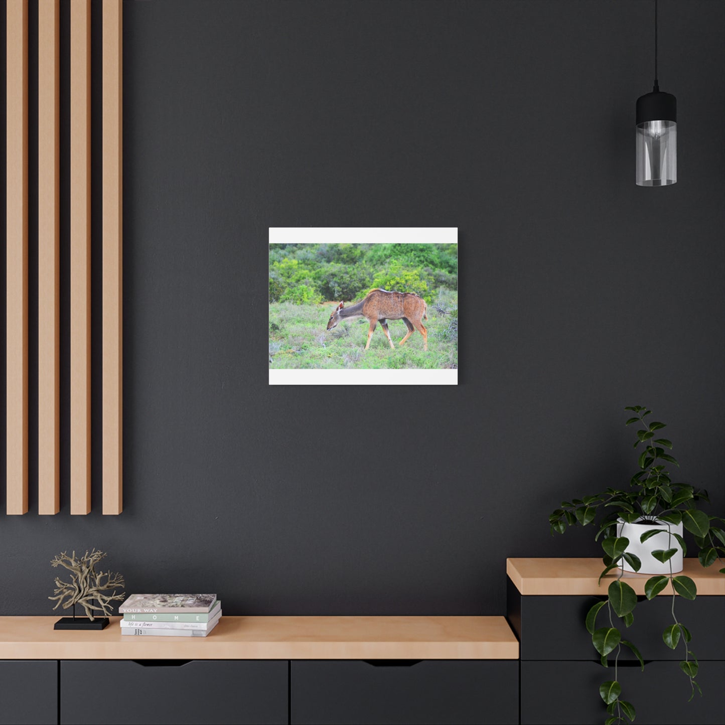 Africa Kudu Cow - Canvas Print