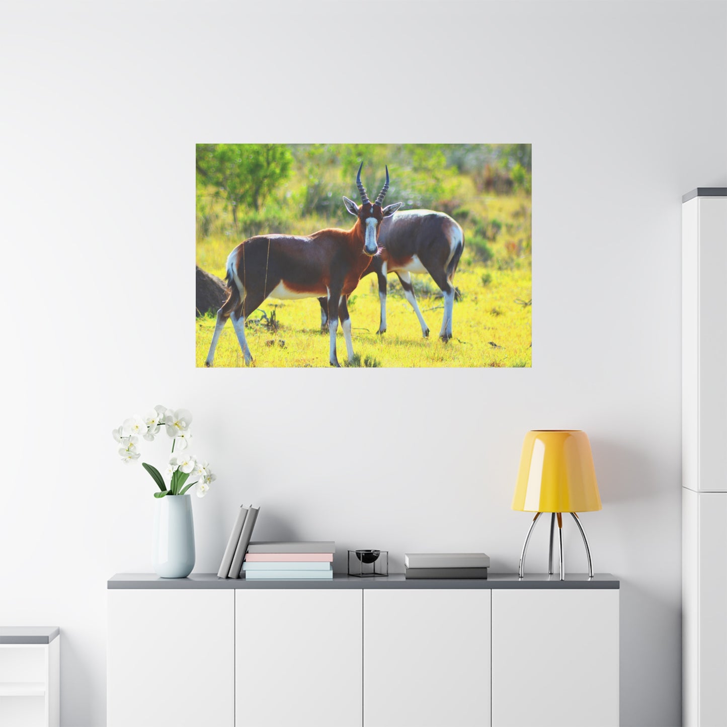 Blesbok in Africa - Canvas Print